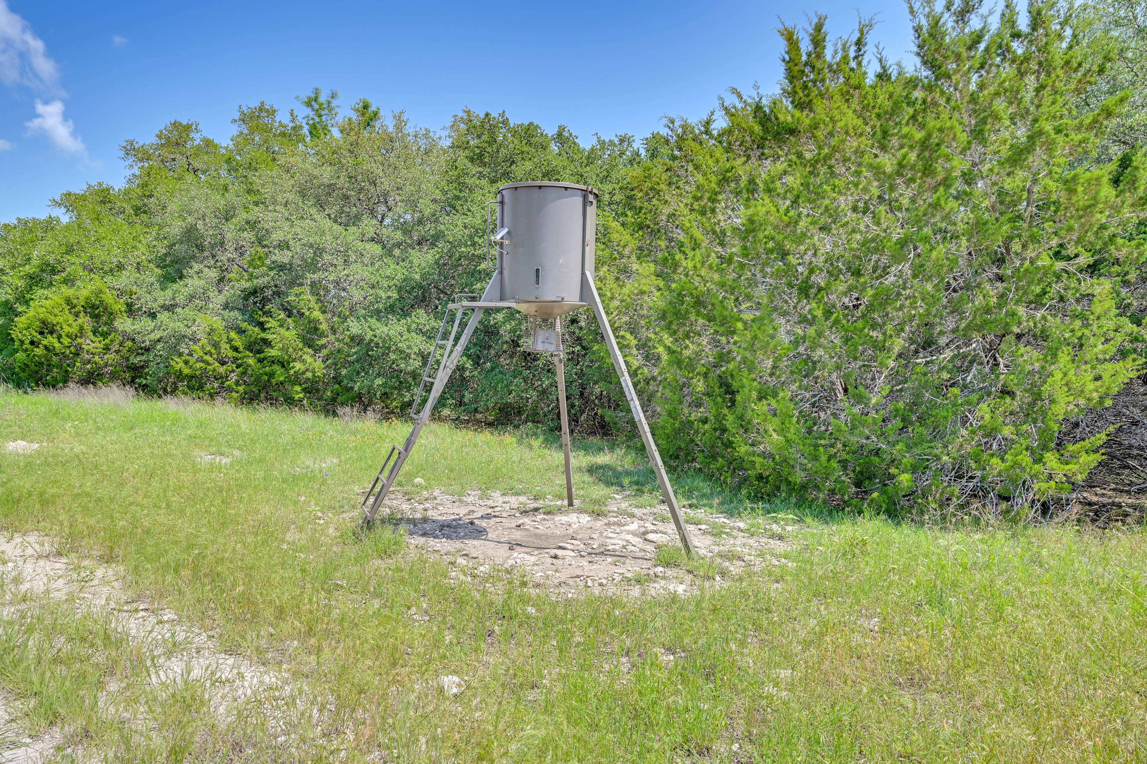 Nearby Deer Feeder