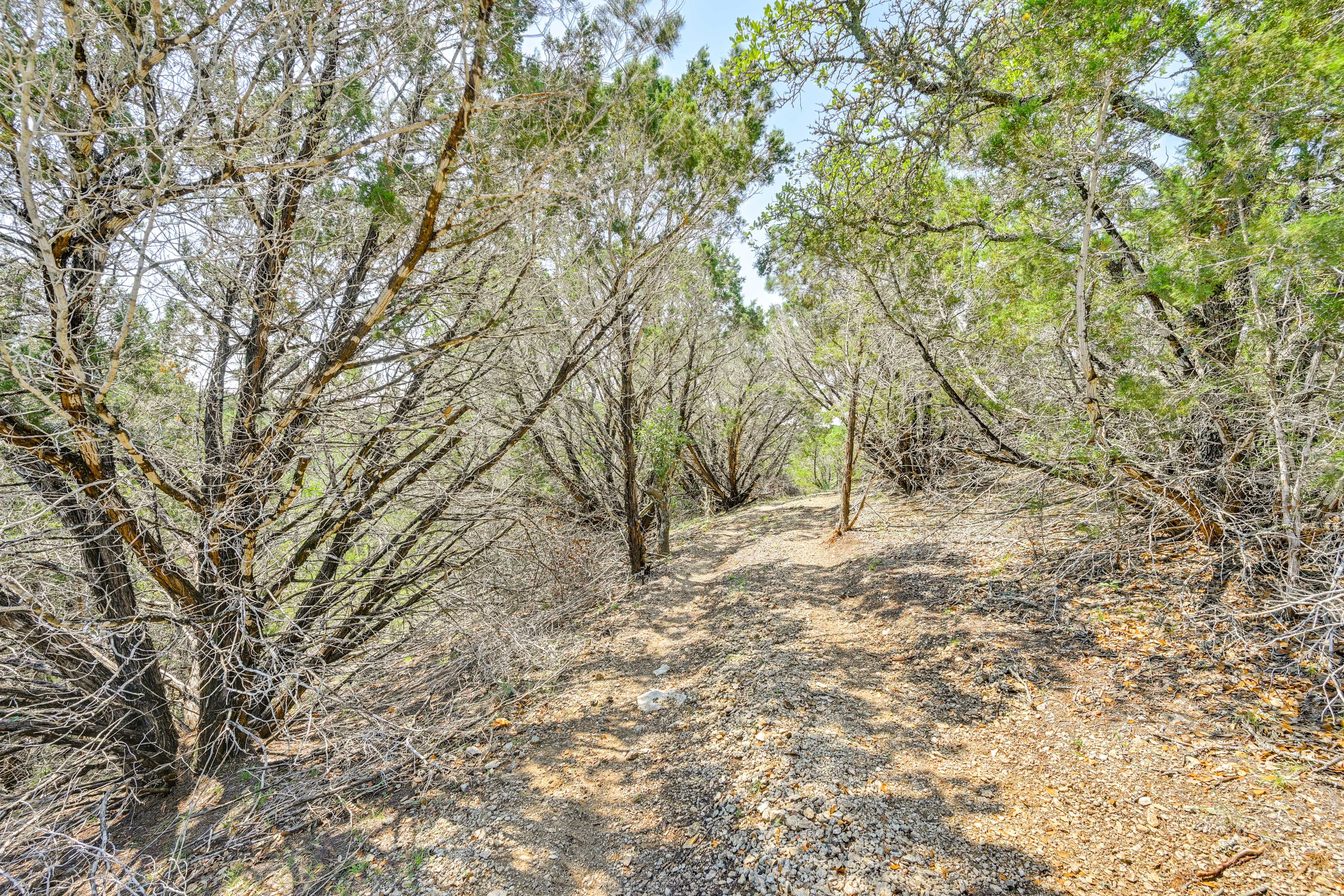 On-Site Walking Trails & Creek