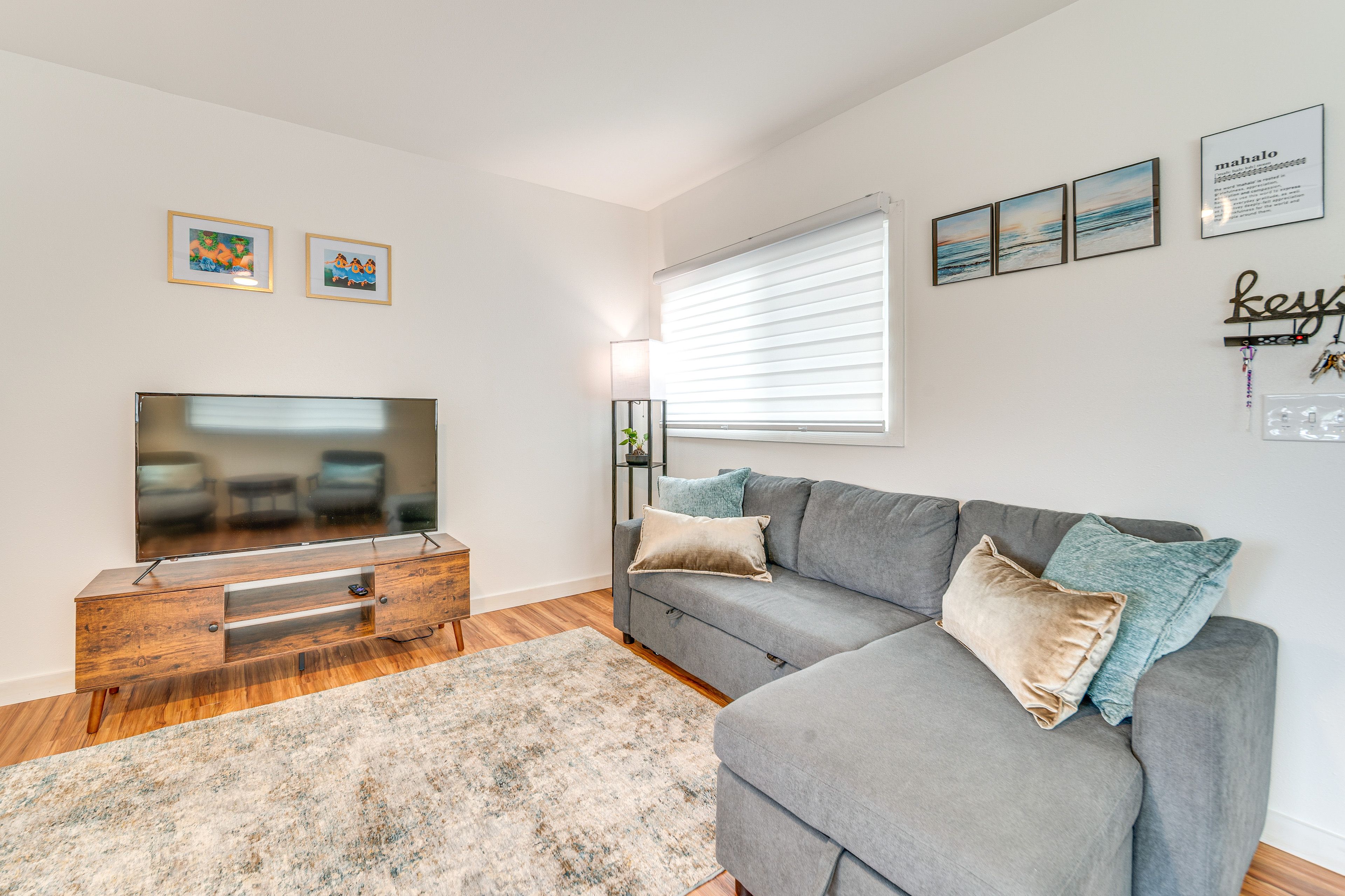Living Room | Full Sleeper Sofa | Smart TV | Mini Split A/C & Heating Units