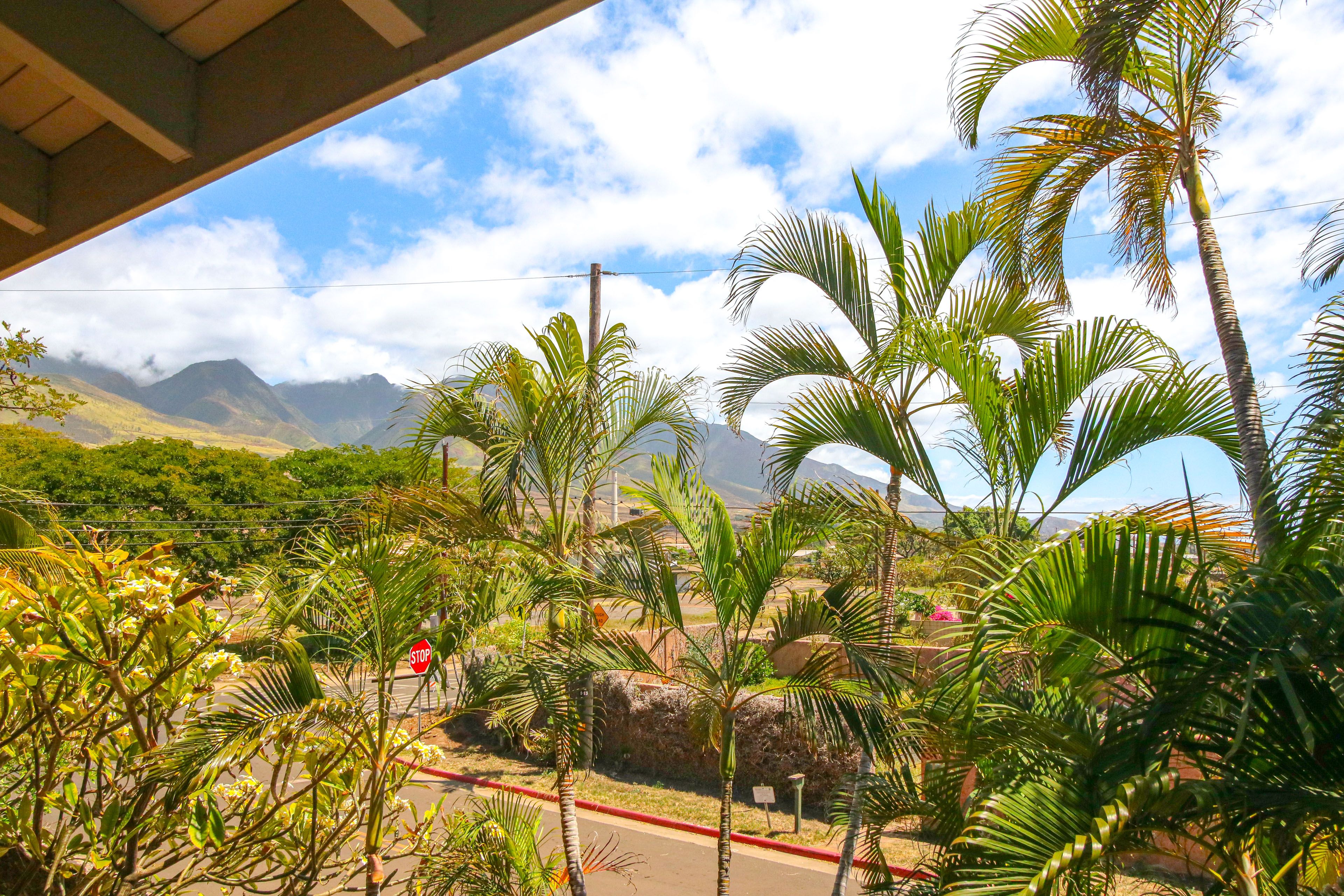 Mountain Views