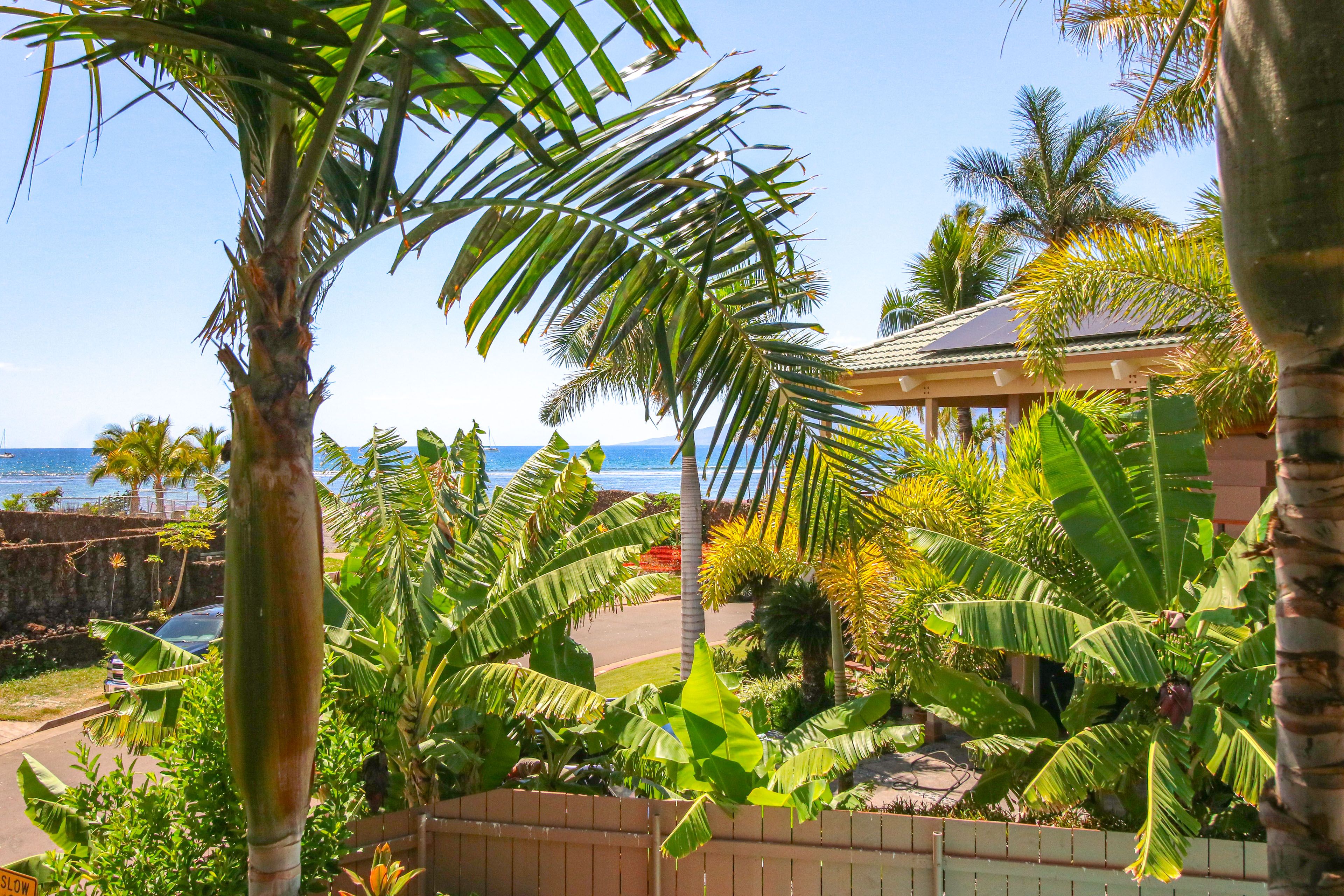 Ocean Views