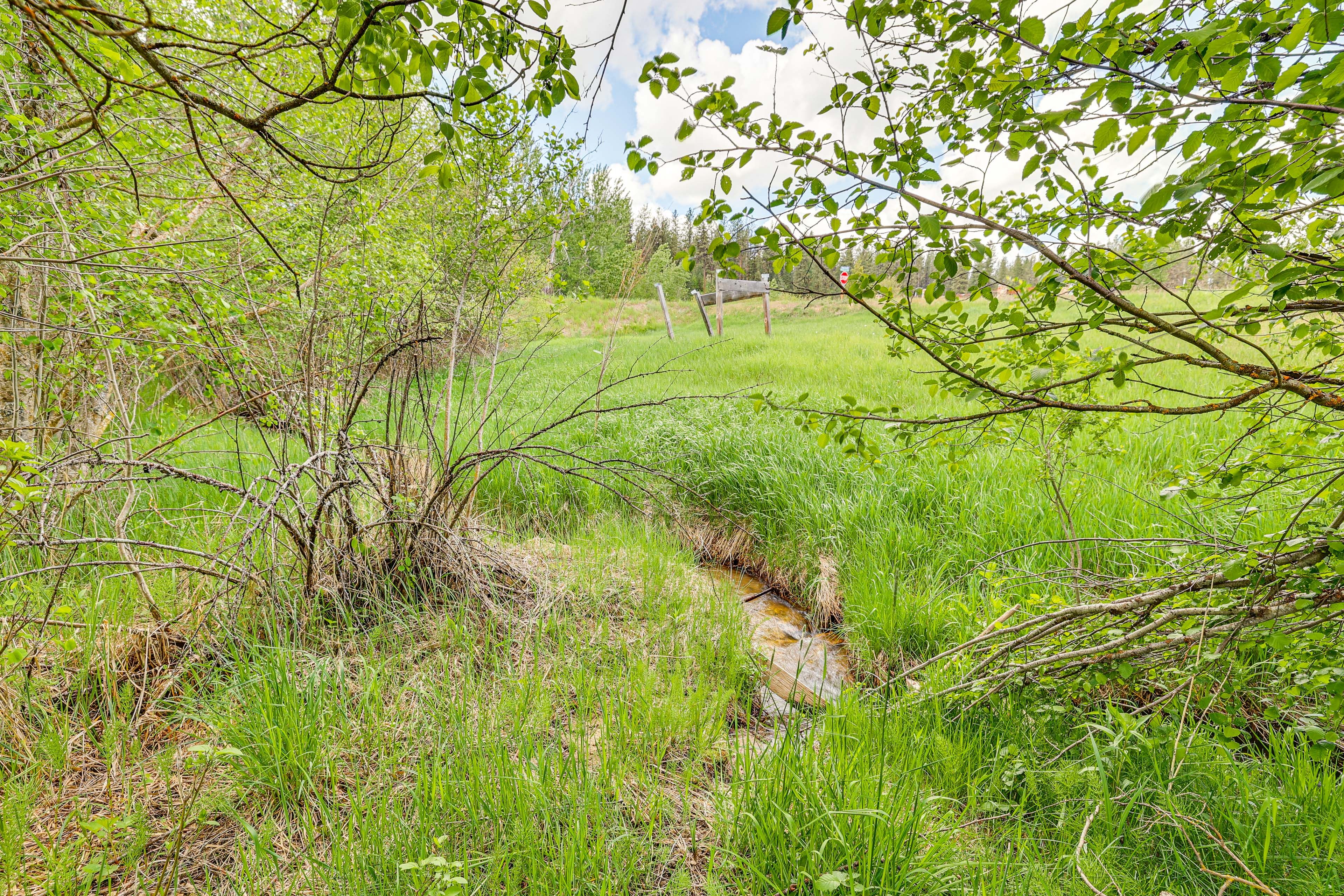 On-Site Creek