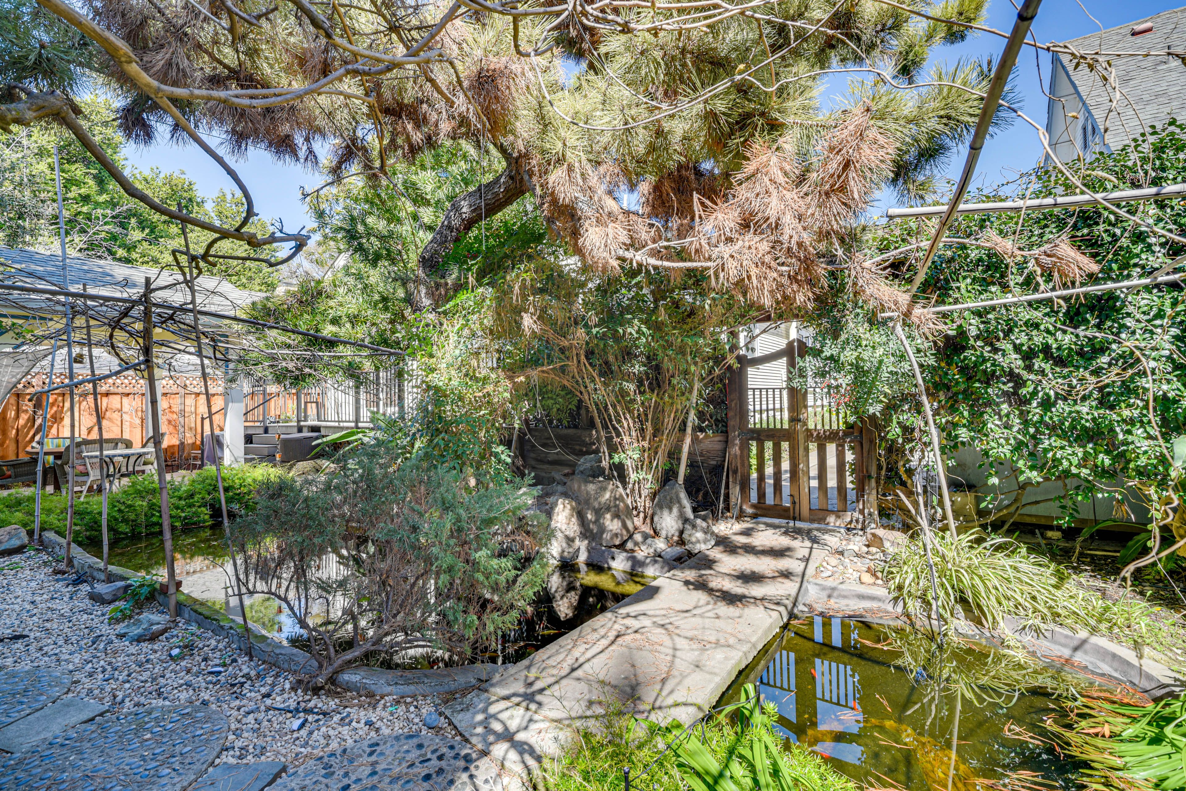 House Exterior | Koi Pond
