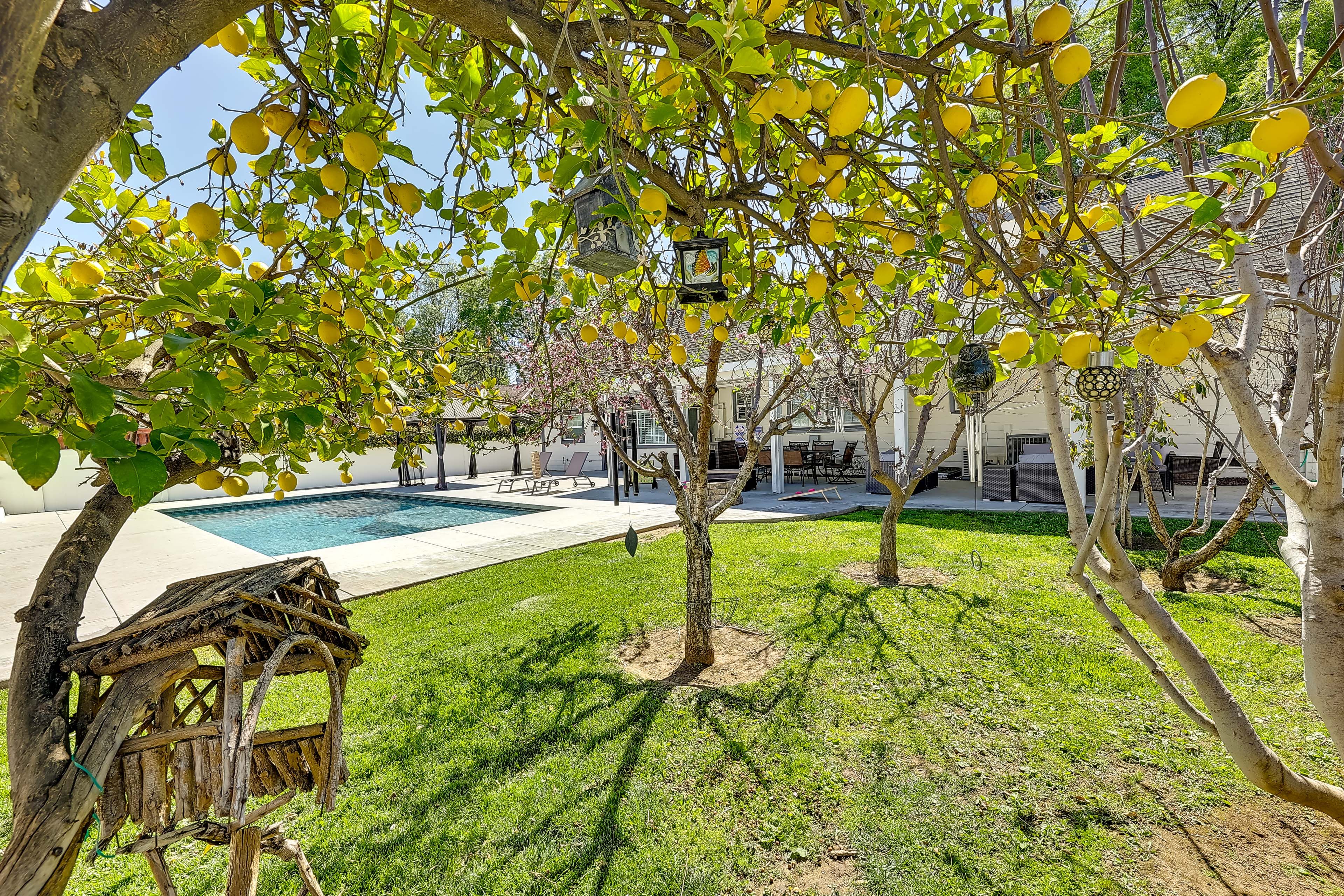 Private Backyard | Garden w/ Lemon Trees