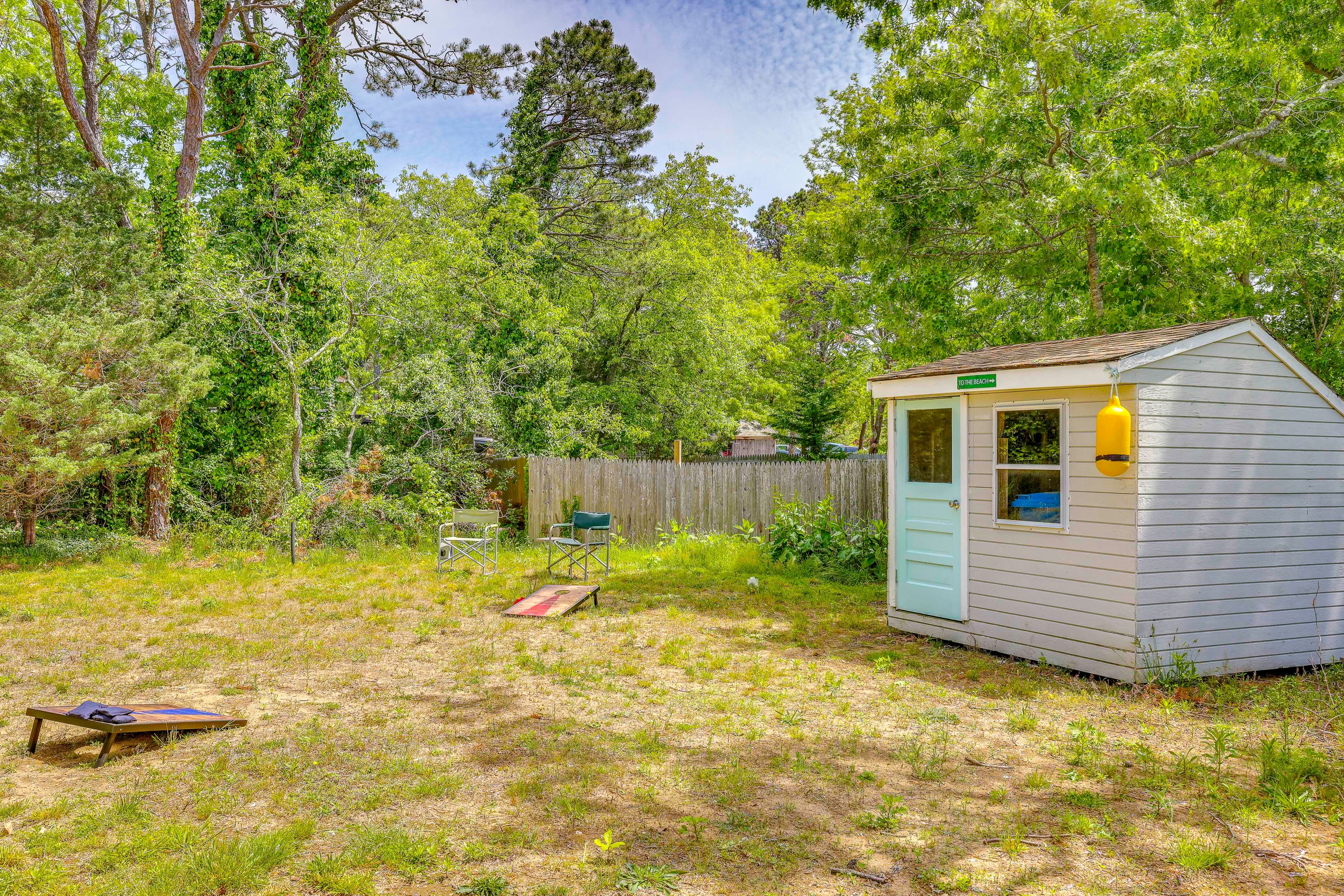 Large Backyard