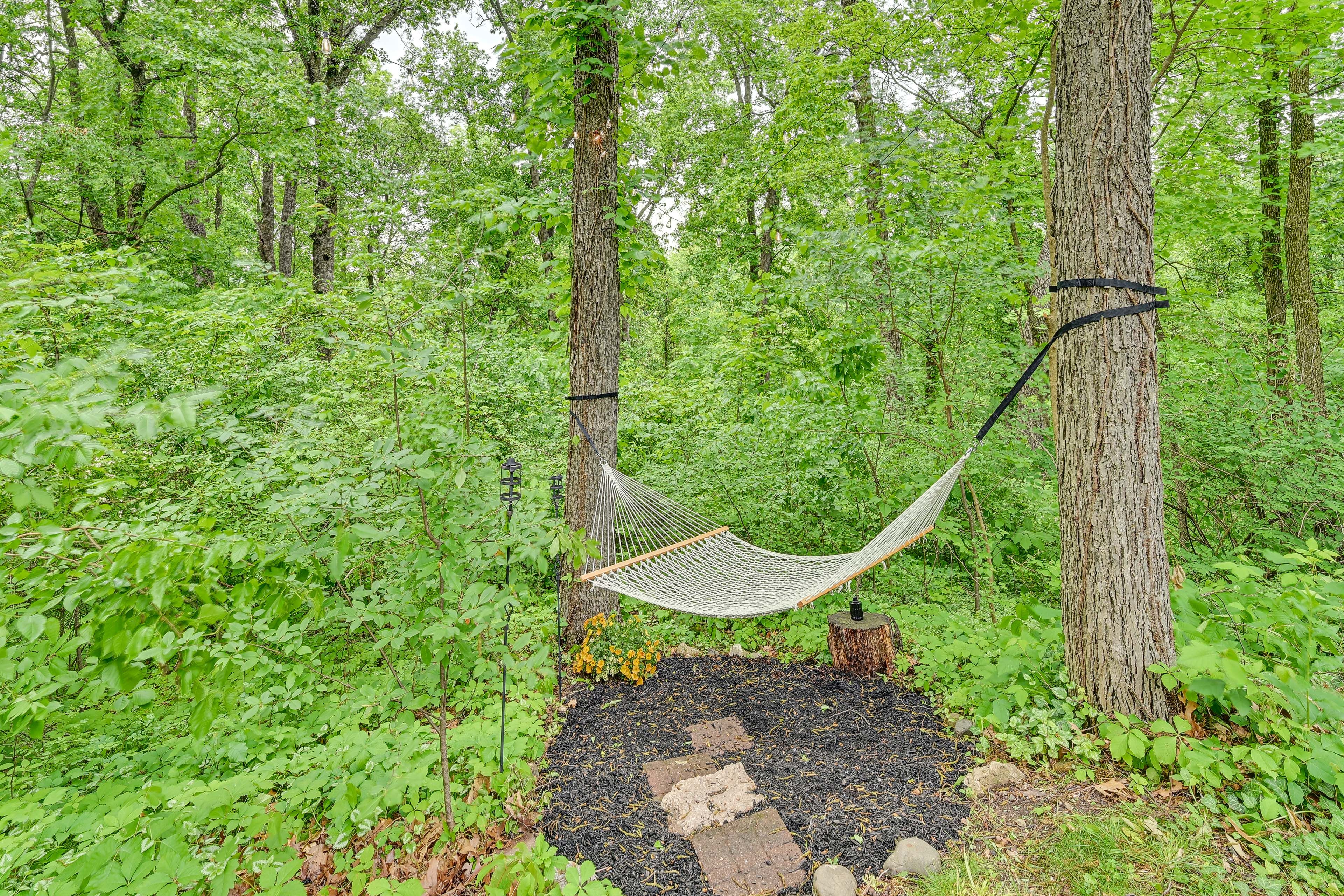 Image 19