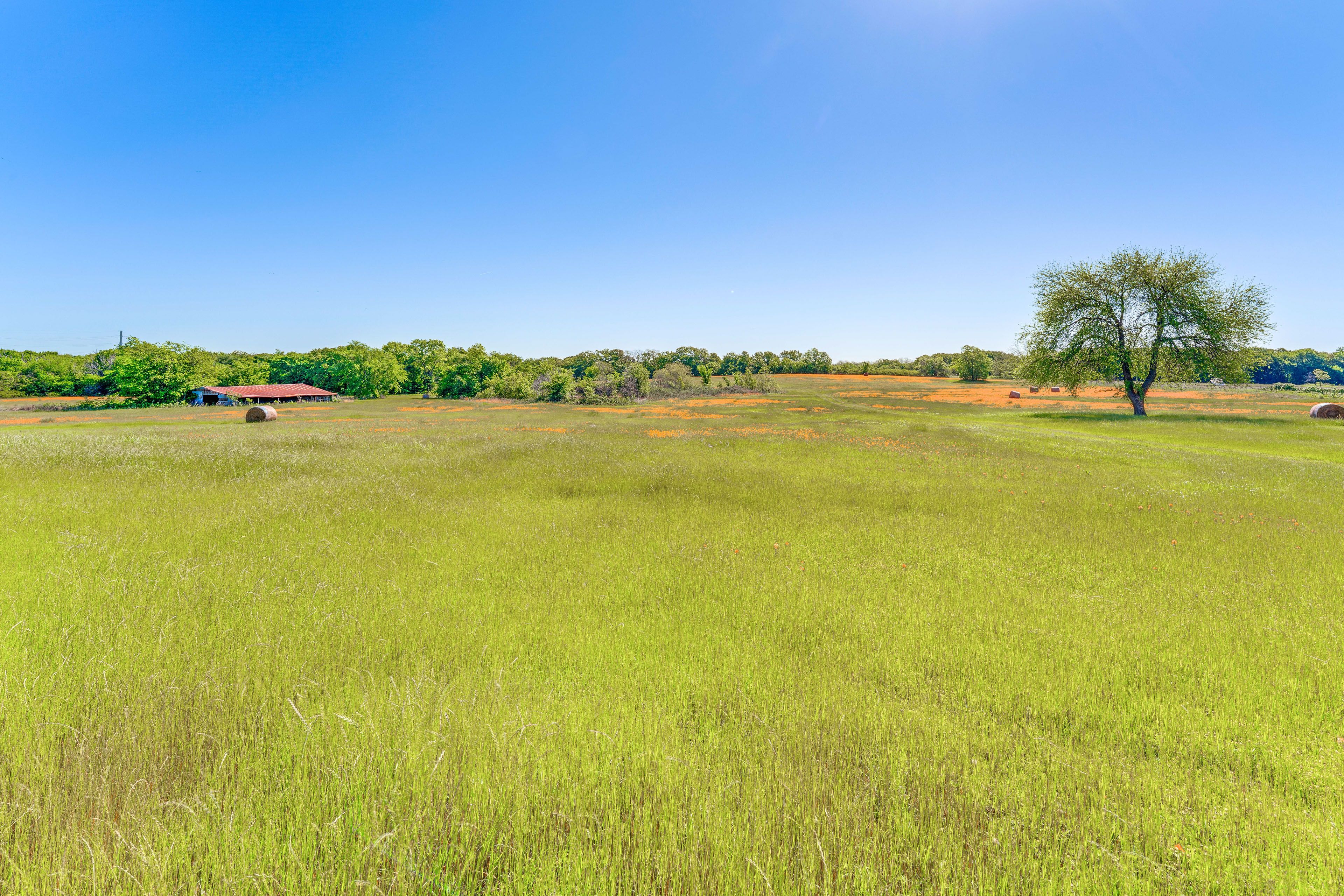 Property Surroundings