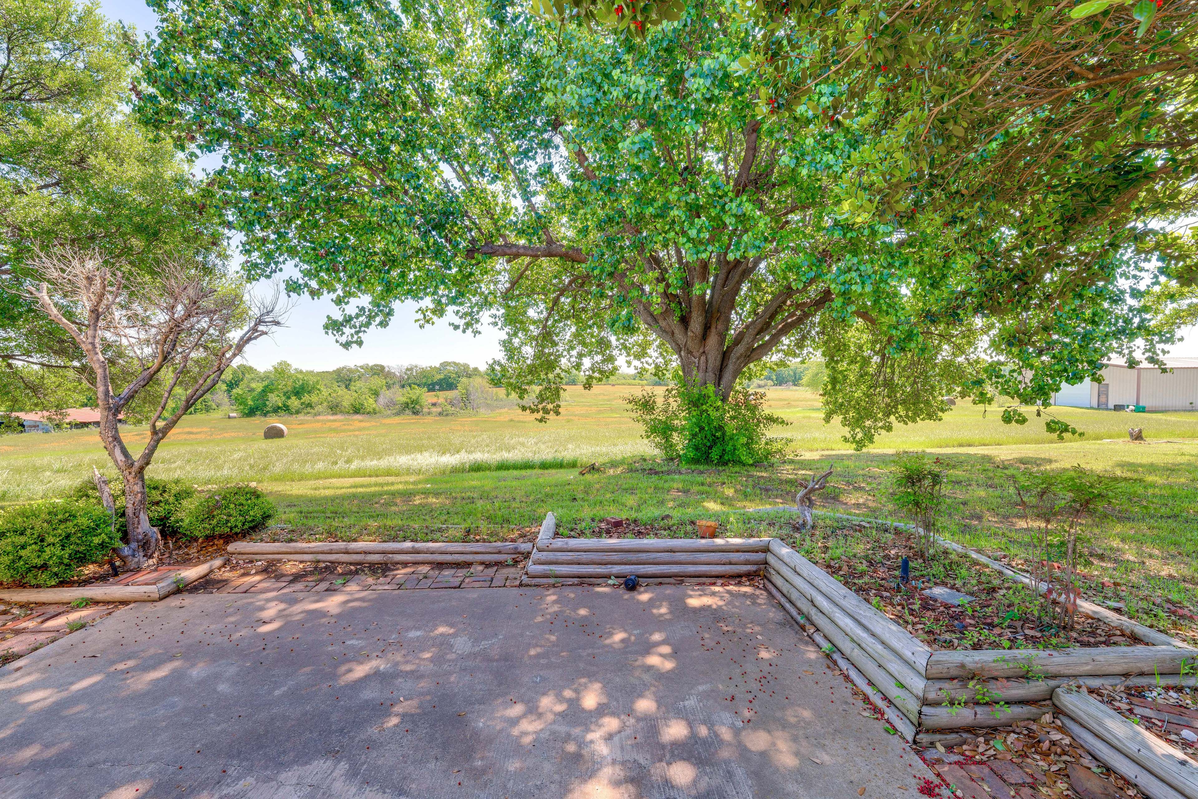 Rear Patio