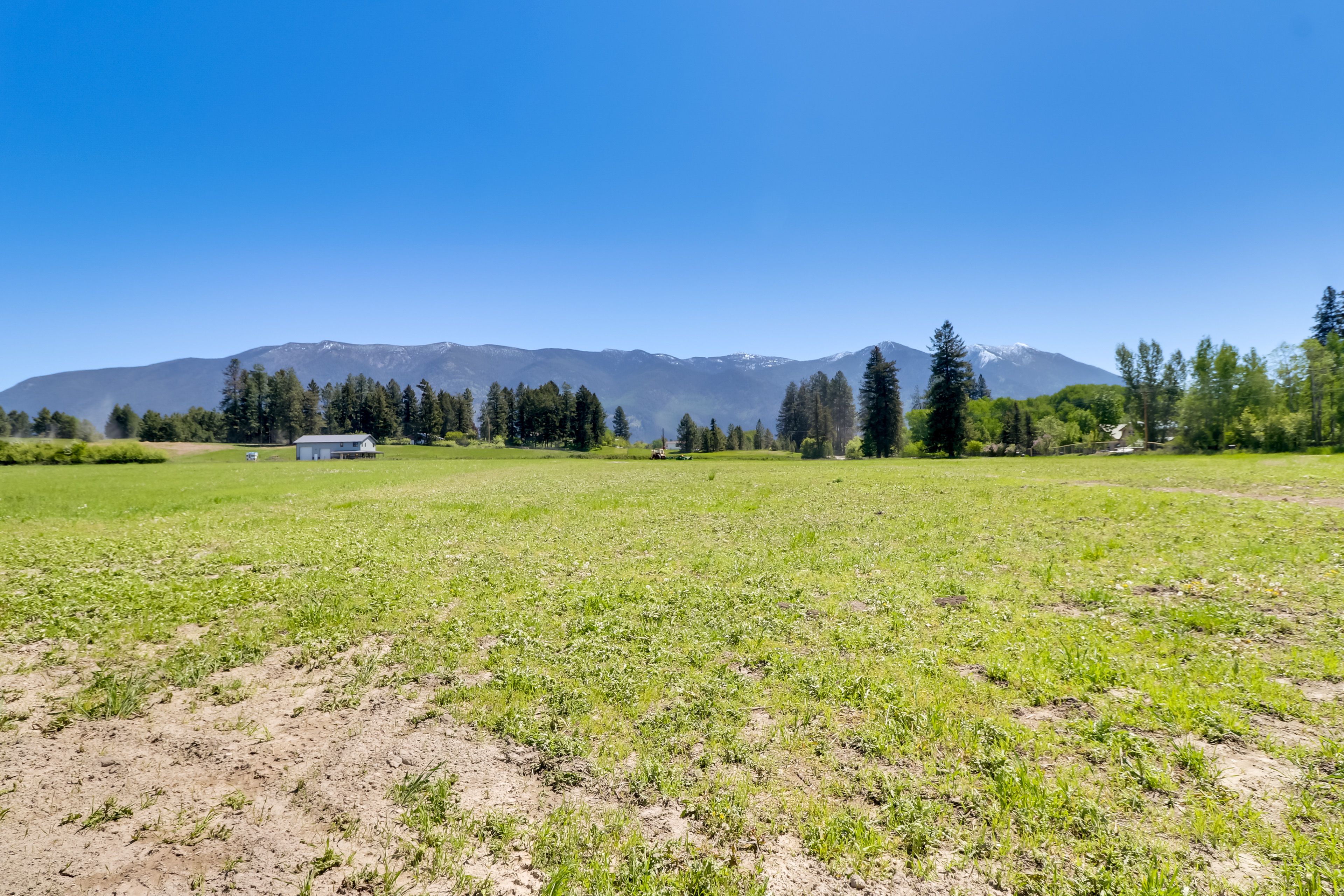 Large Yard