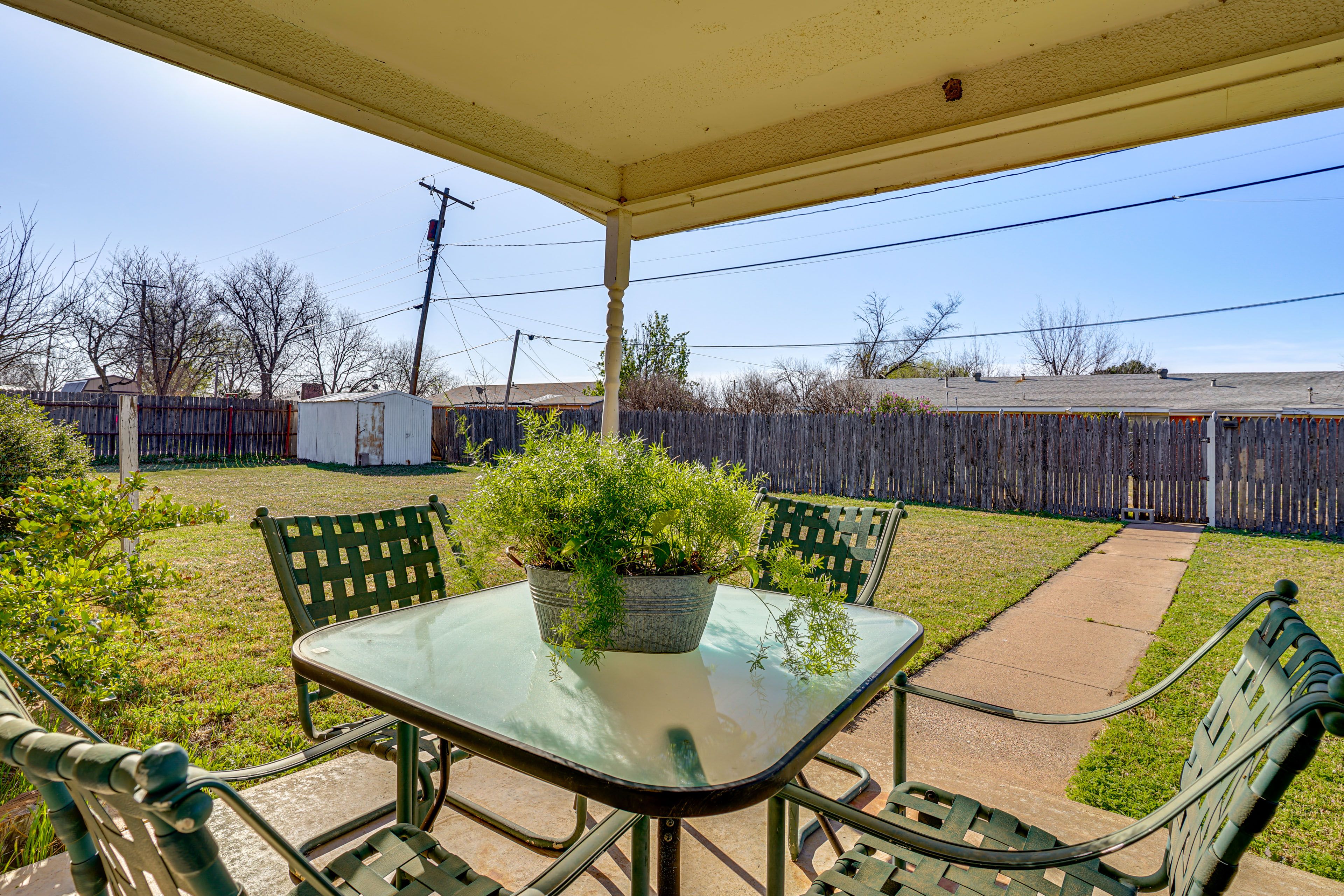 Backyard