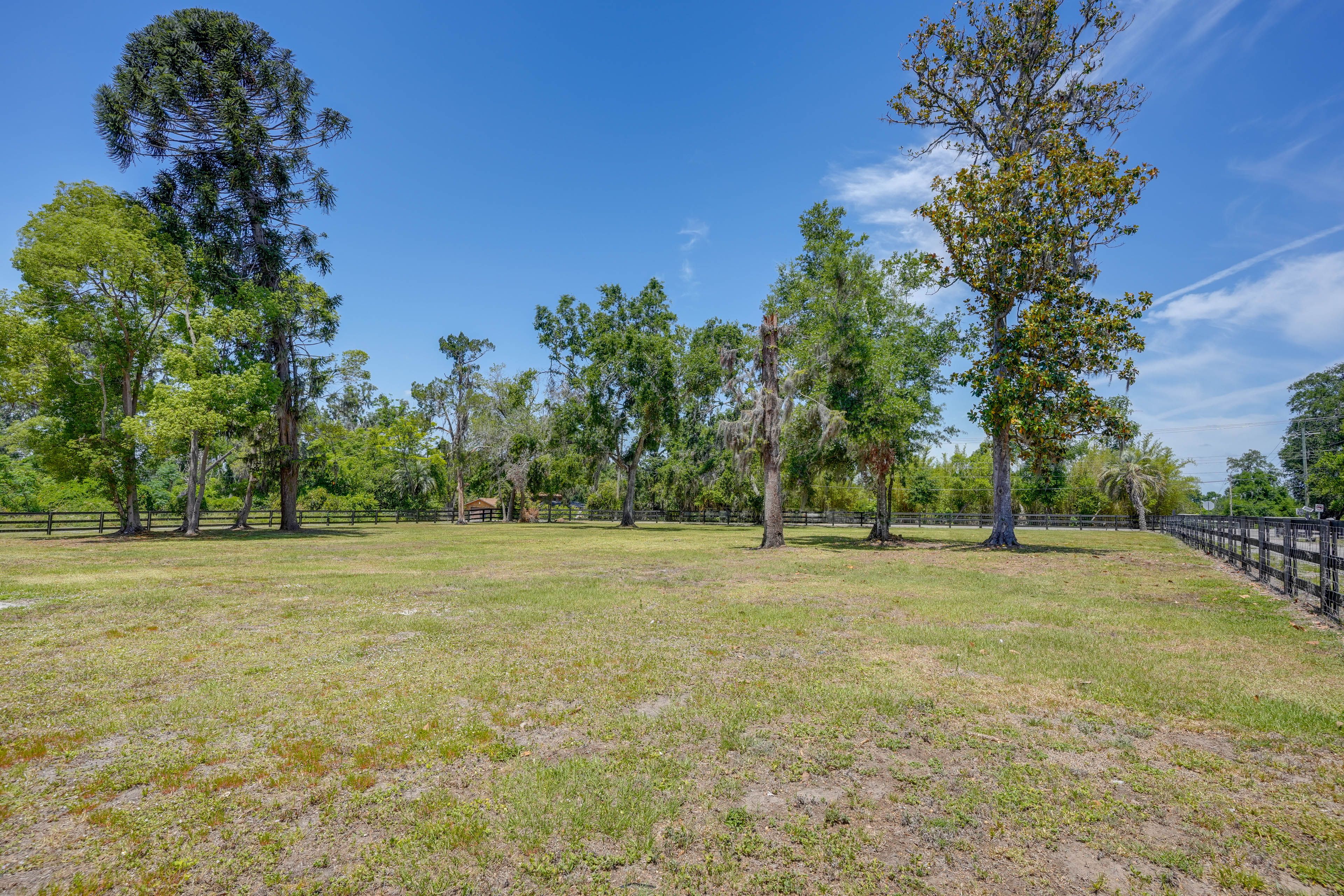 Huge Fenced Yard