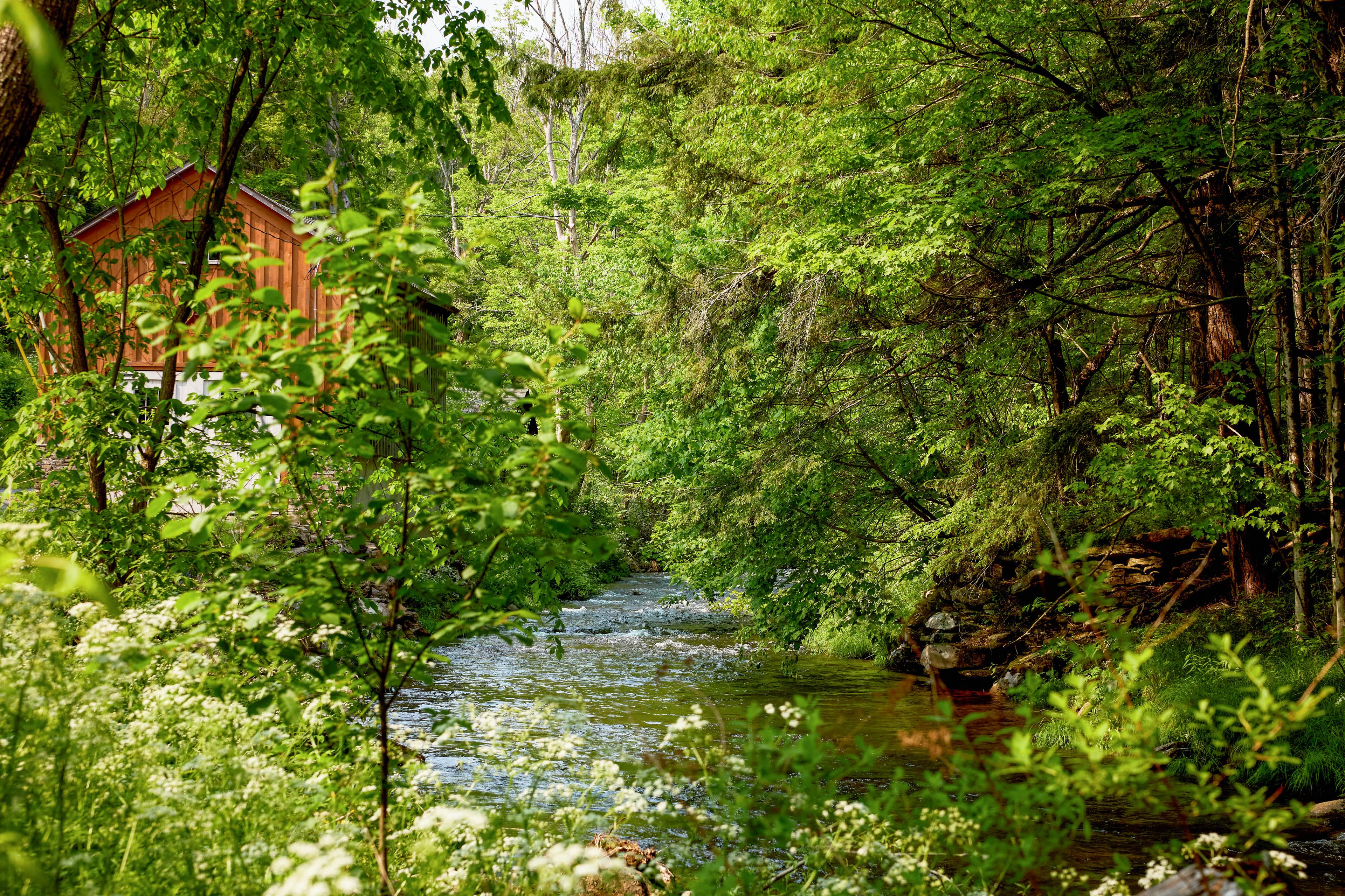 Walk to Vyl Creek