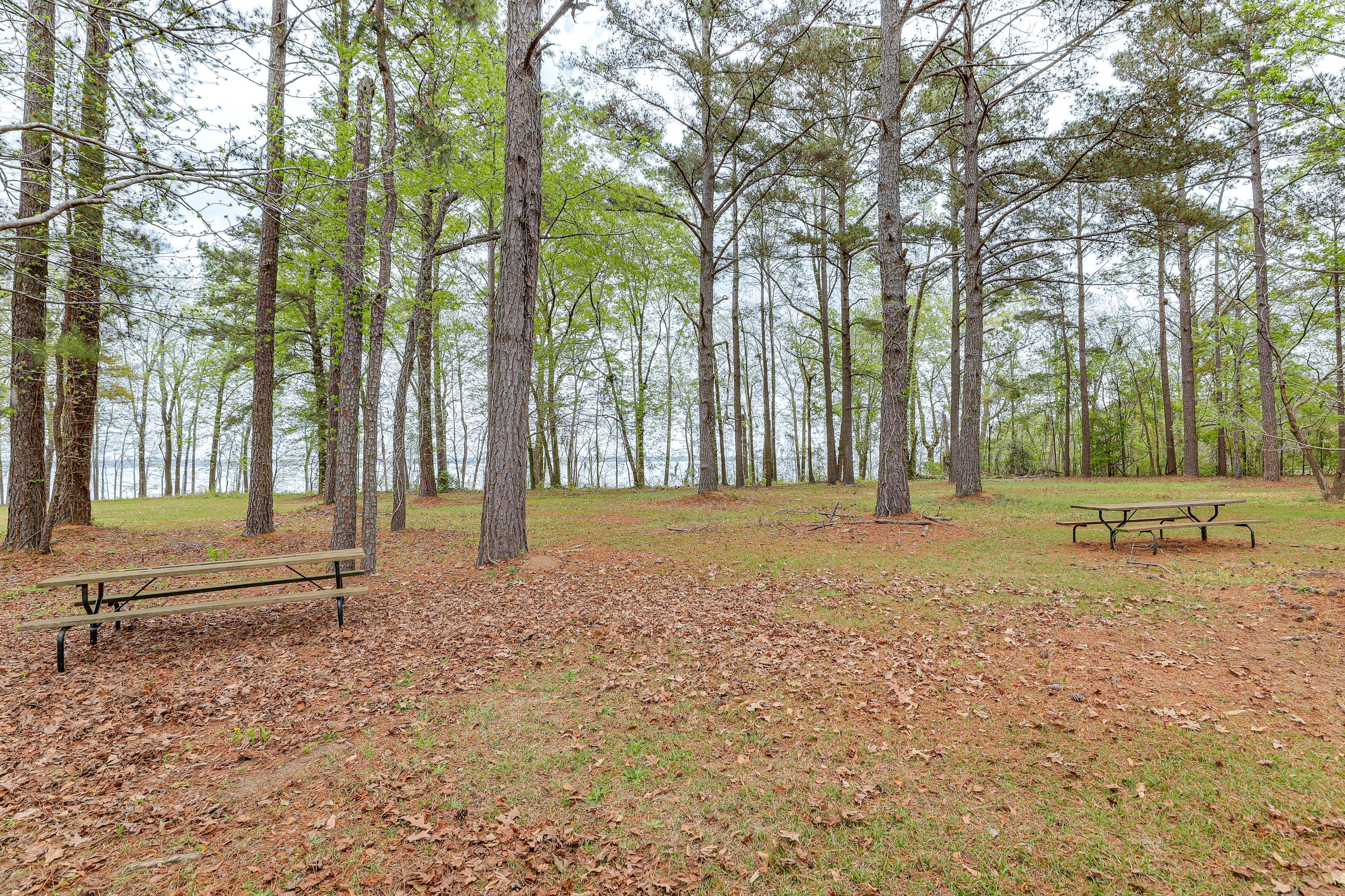 Additional Picnic Tables