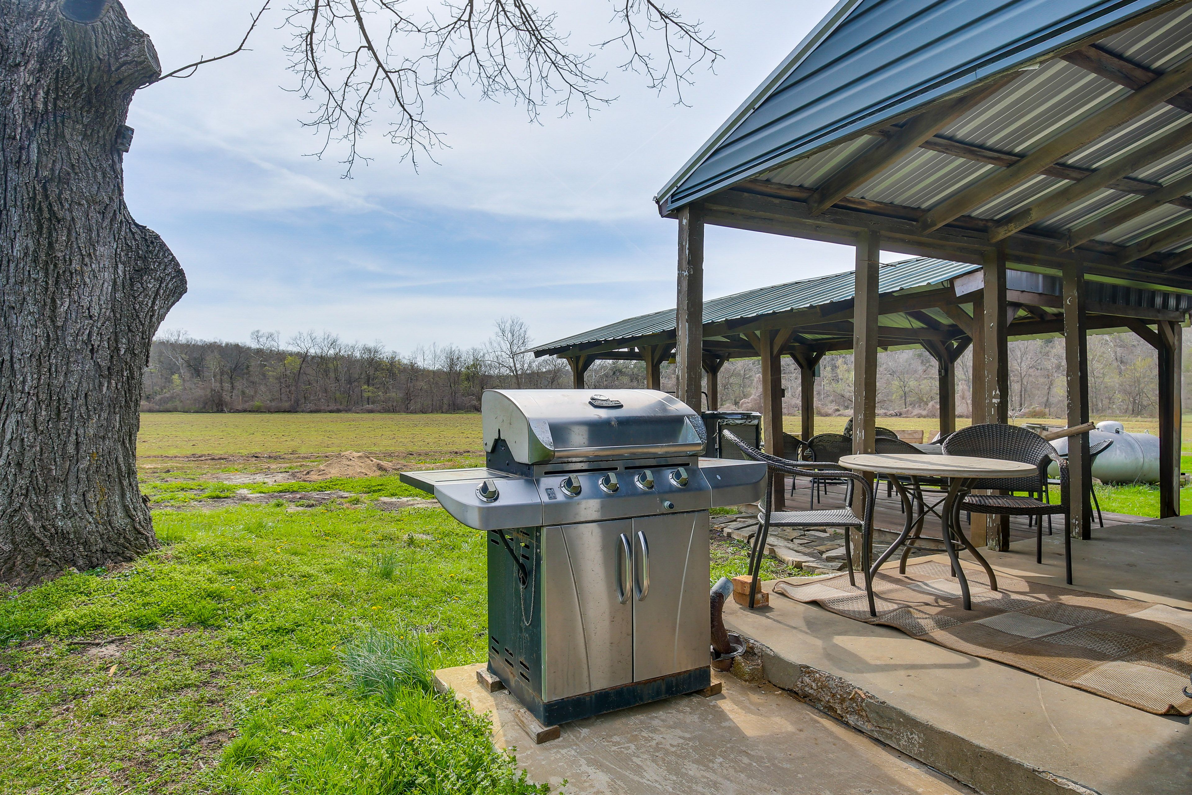 Gas Grill