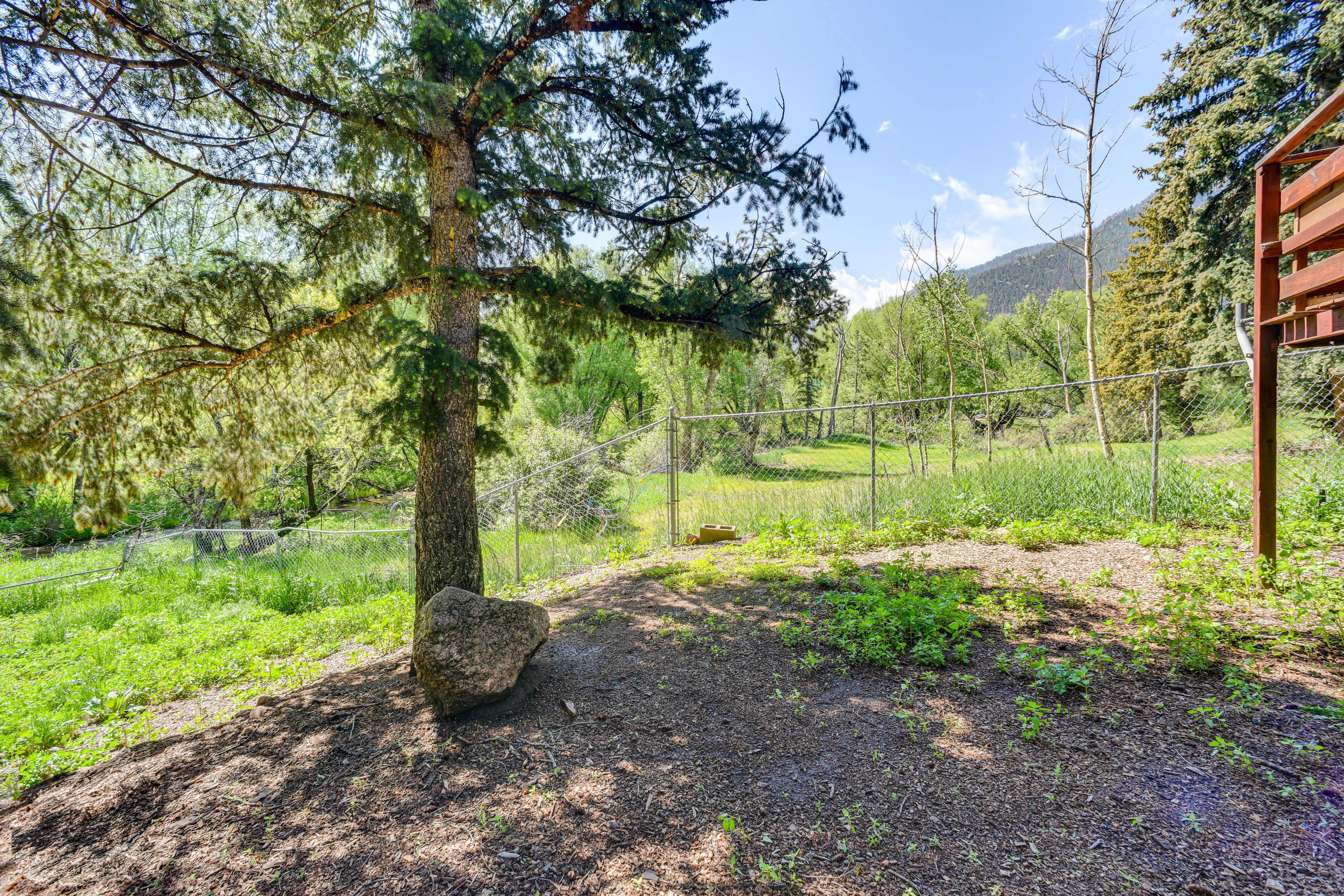 Cabin Exterior | Fenced Yard
