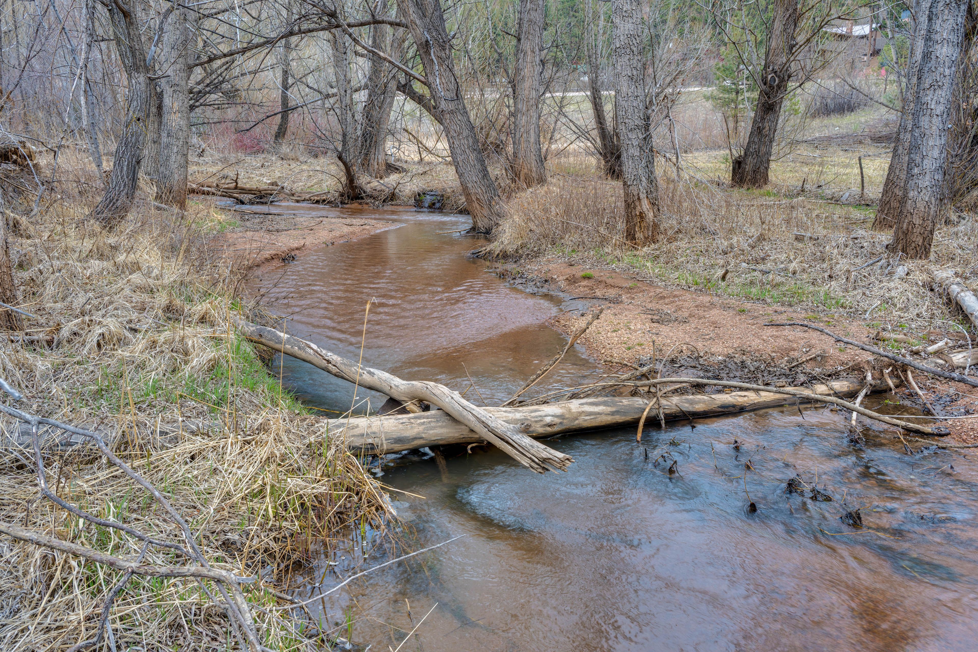 Property Surroundings