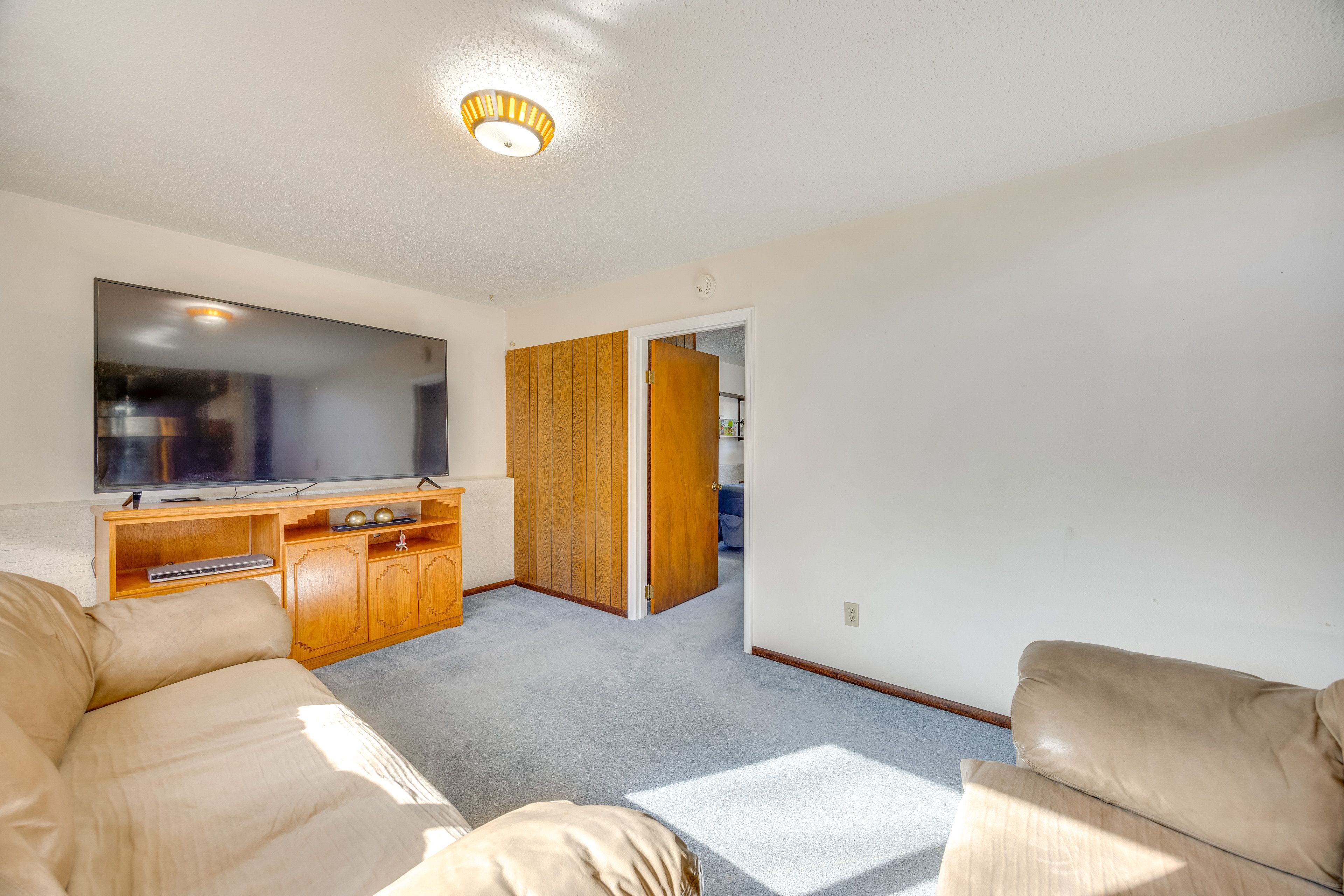 Basement Living Room