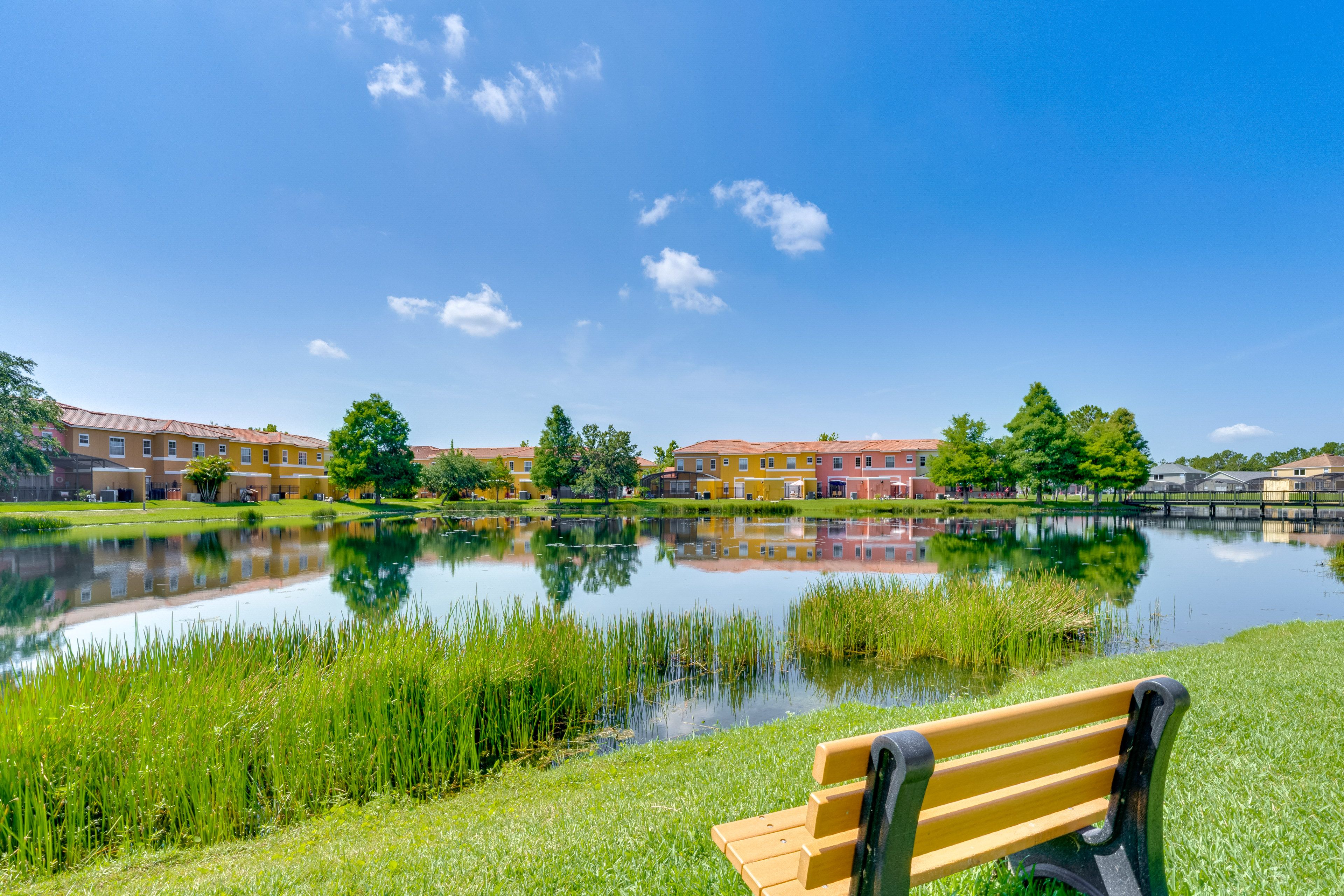 Pond View