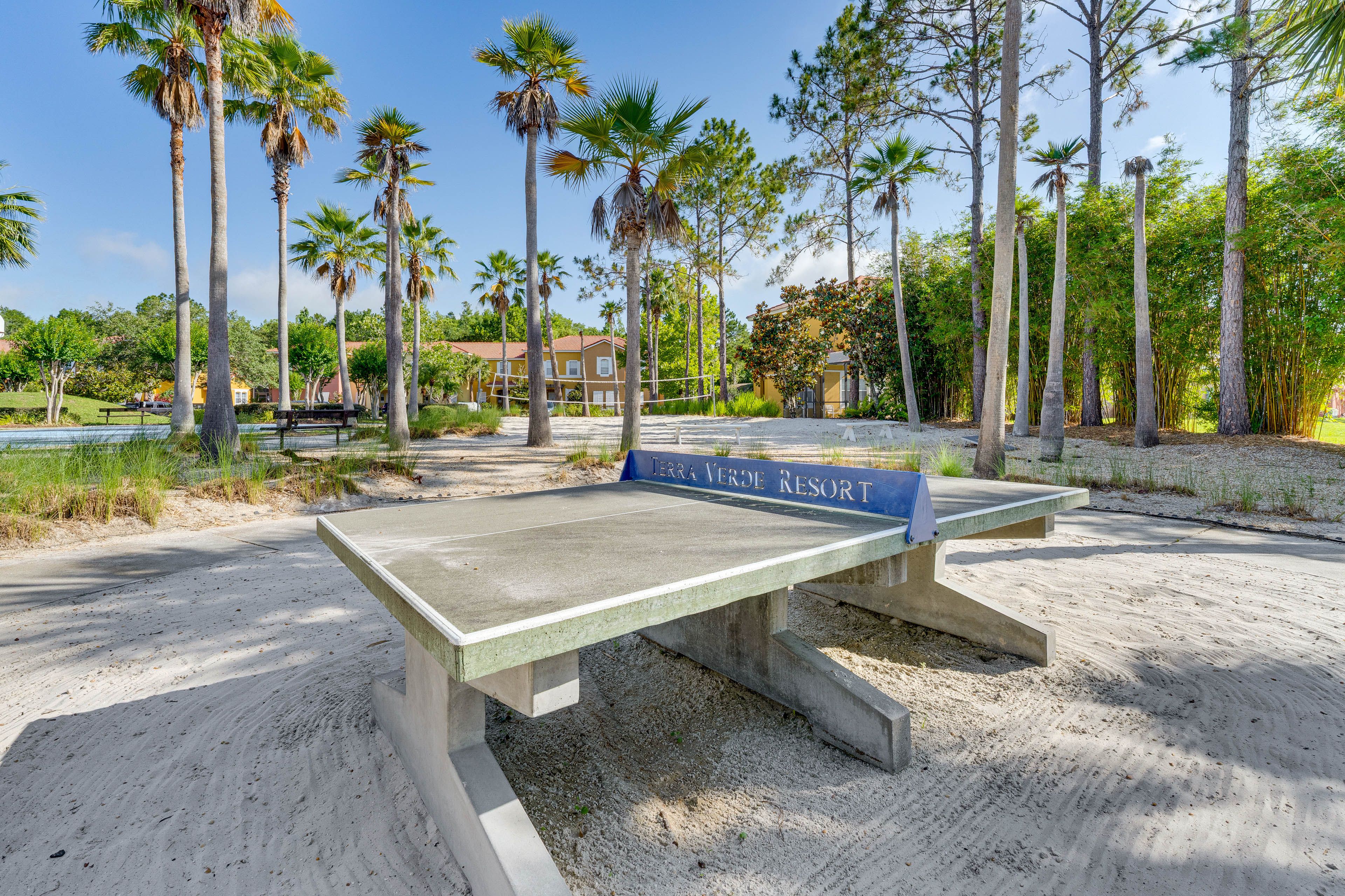 Ping-Pong Table