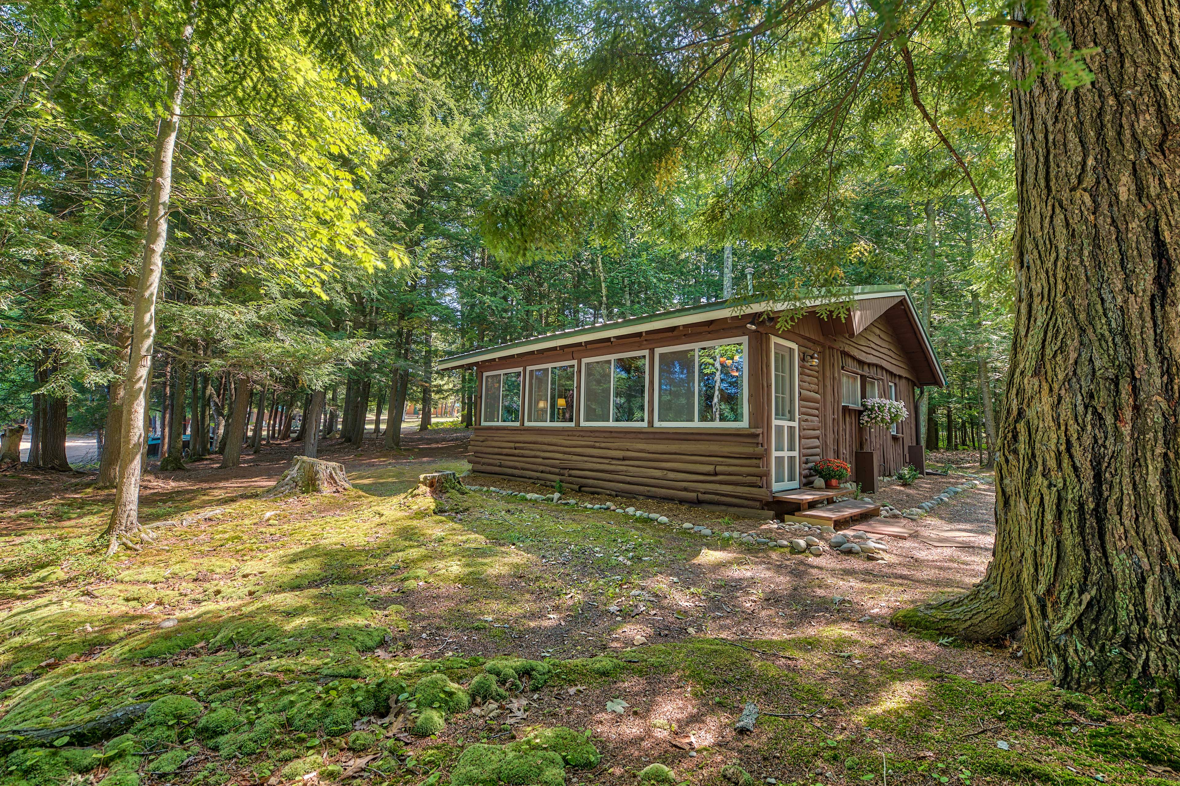 Cabin Exterior