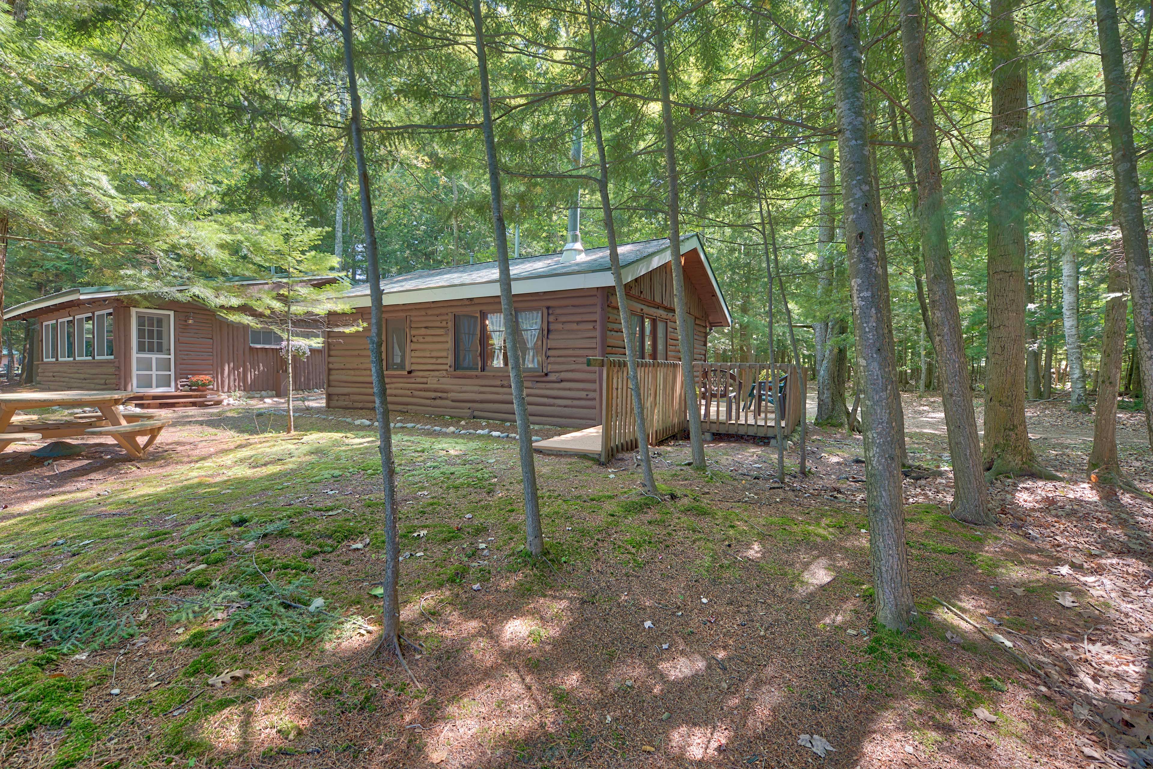Cabin Exterior