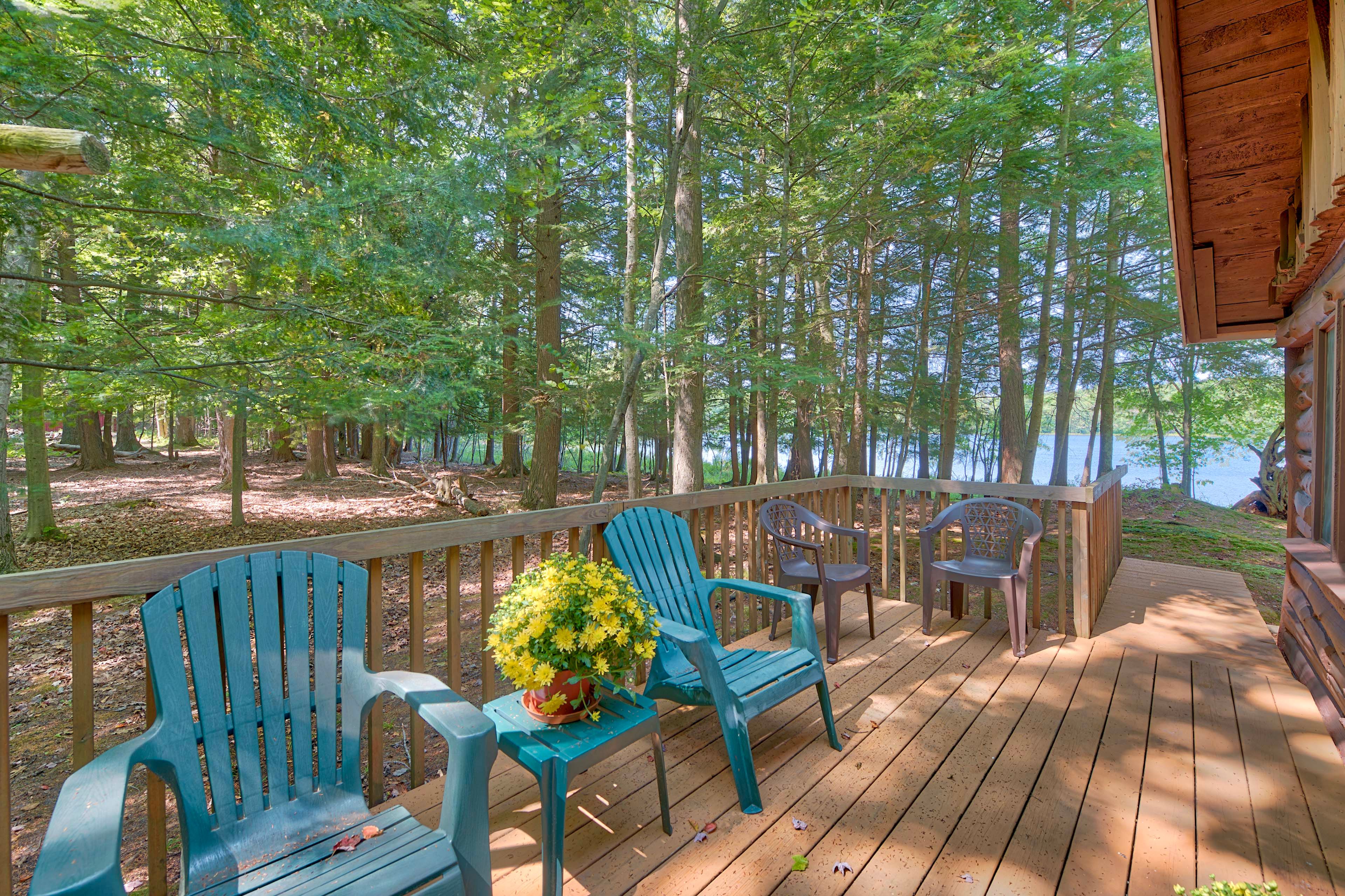 Private Deck | Single-Story Cabin | Fishing On-Site