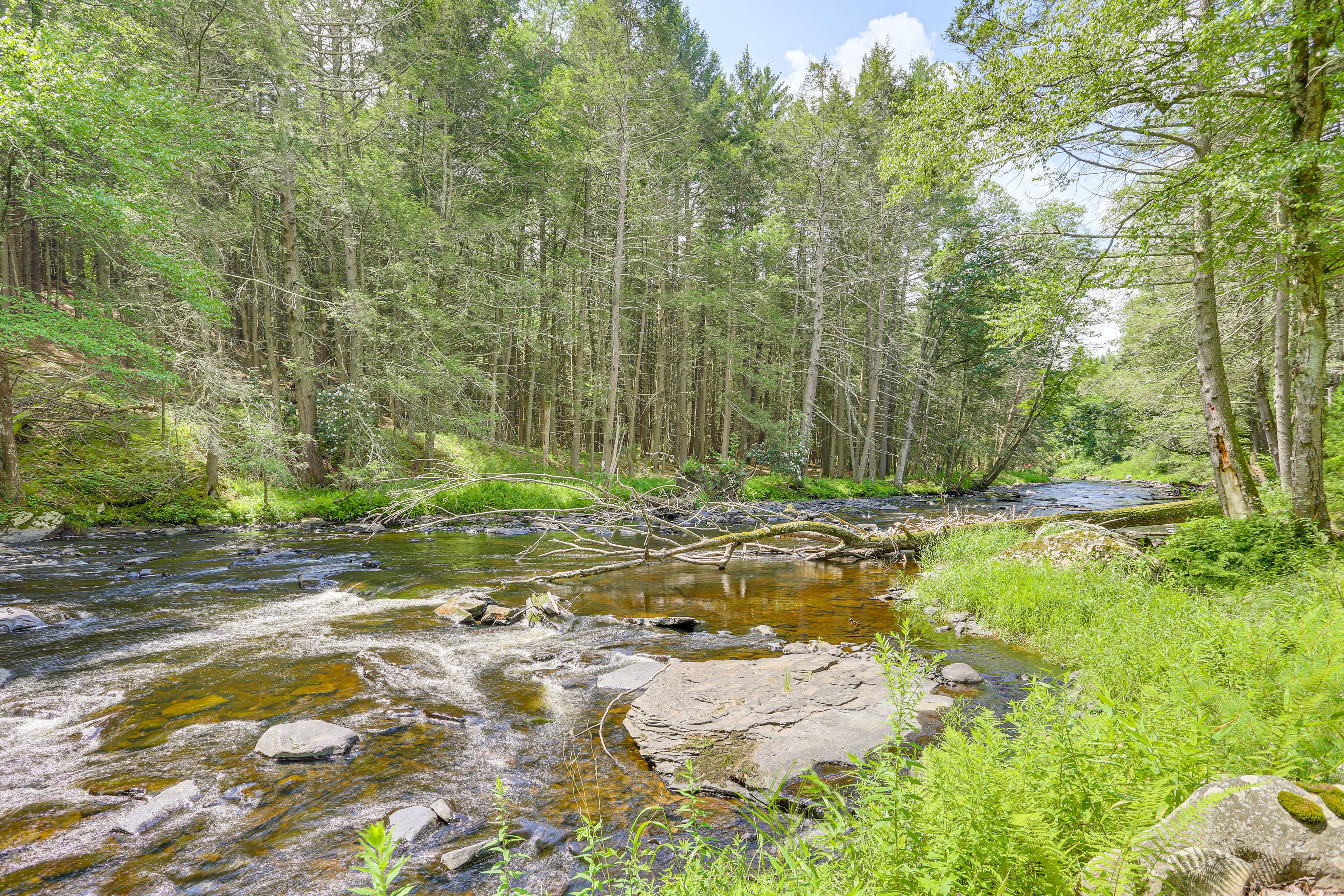 Creek Access On-Site