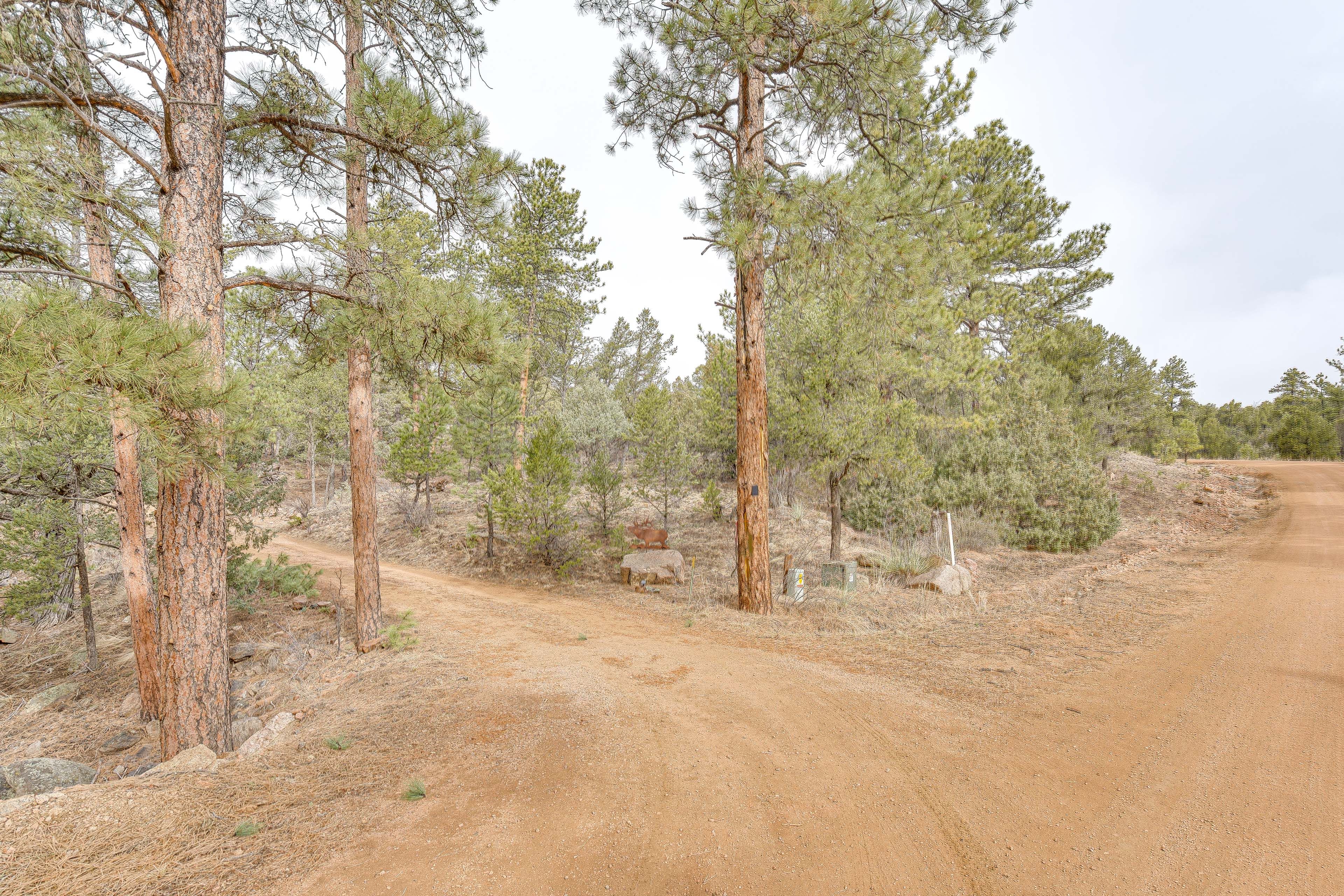 Access Road