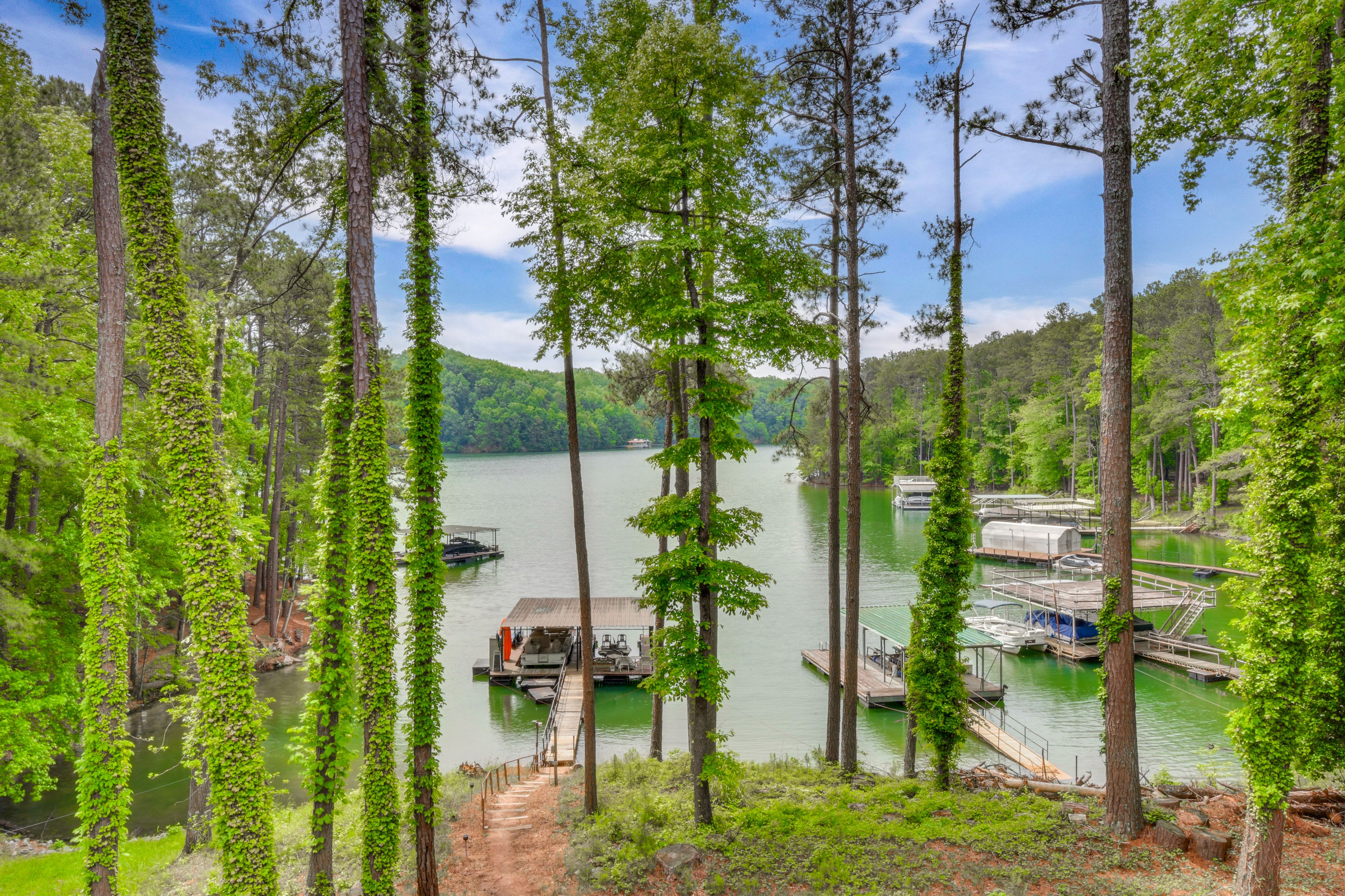 Deck Views