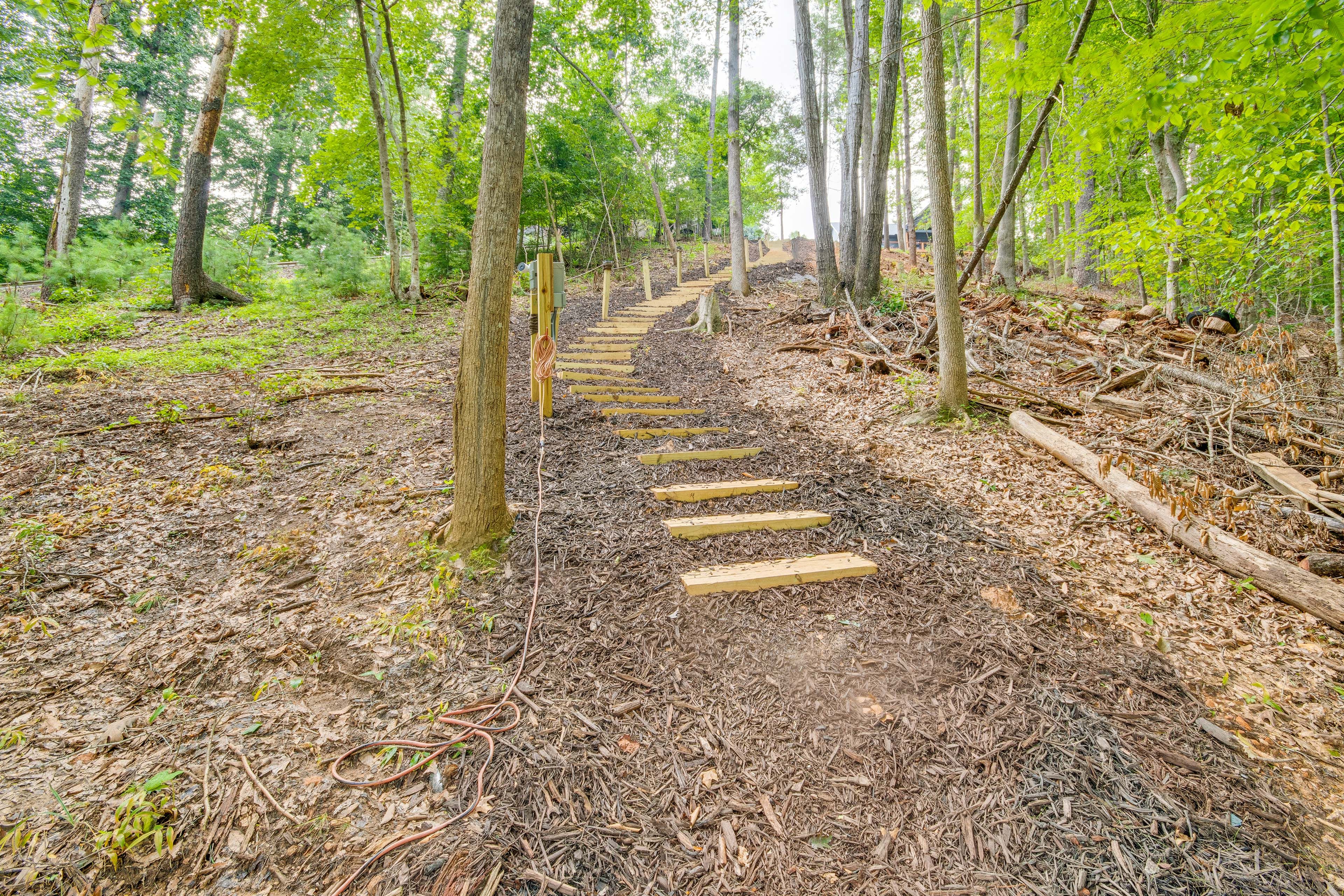 Backyard | Stairs to Dock