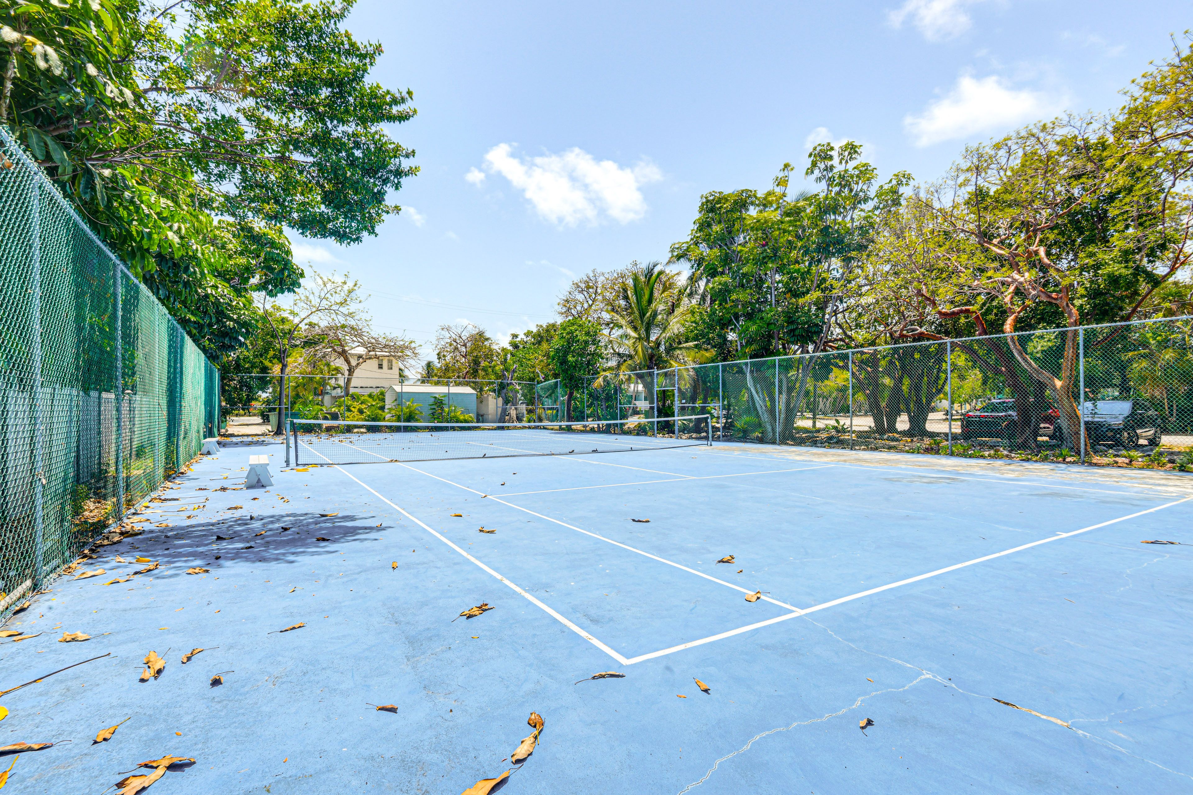 Community Pickleball Court
