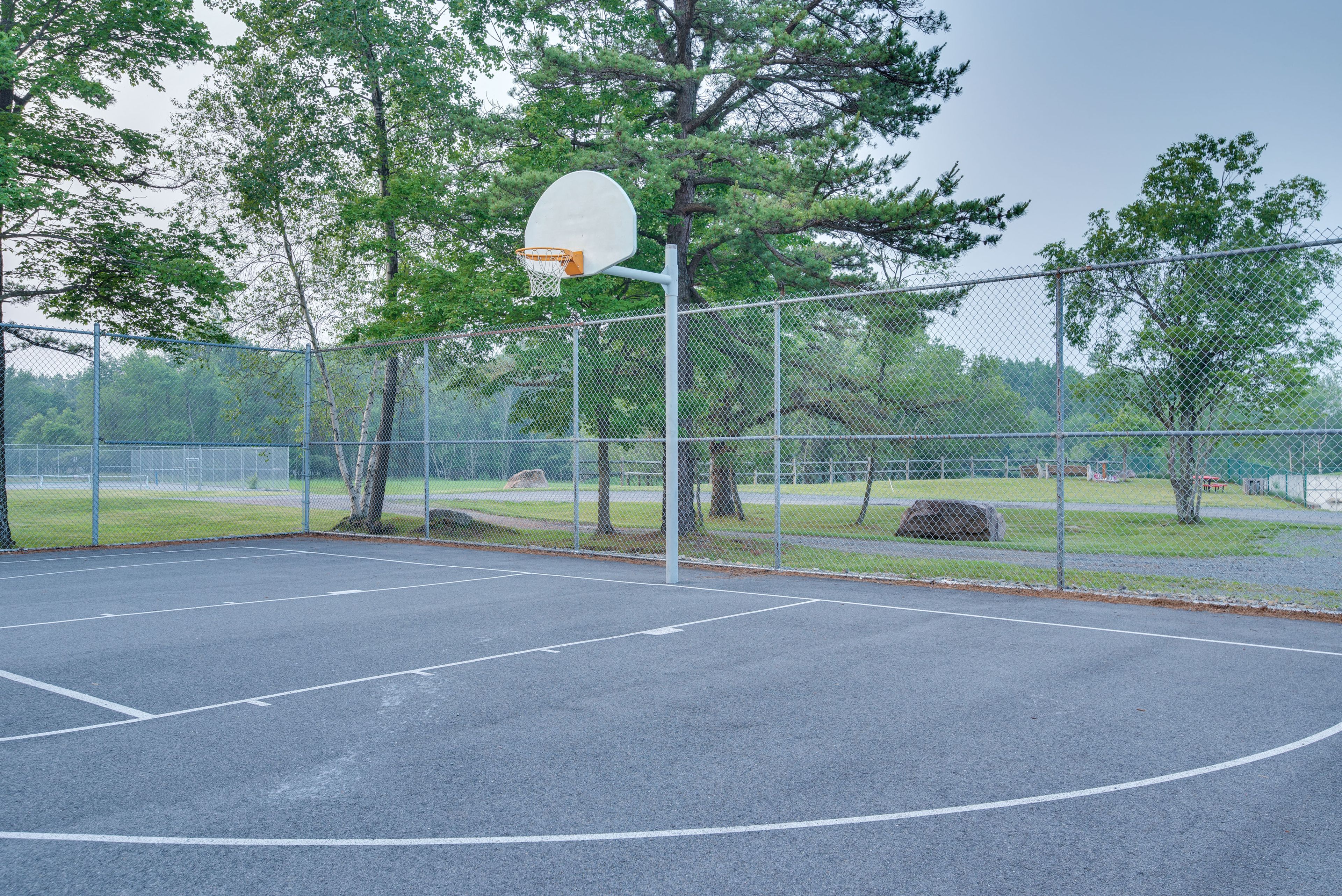 Basketball Court