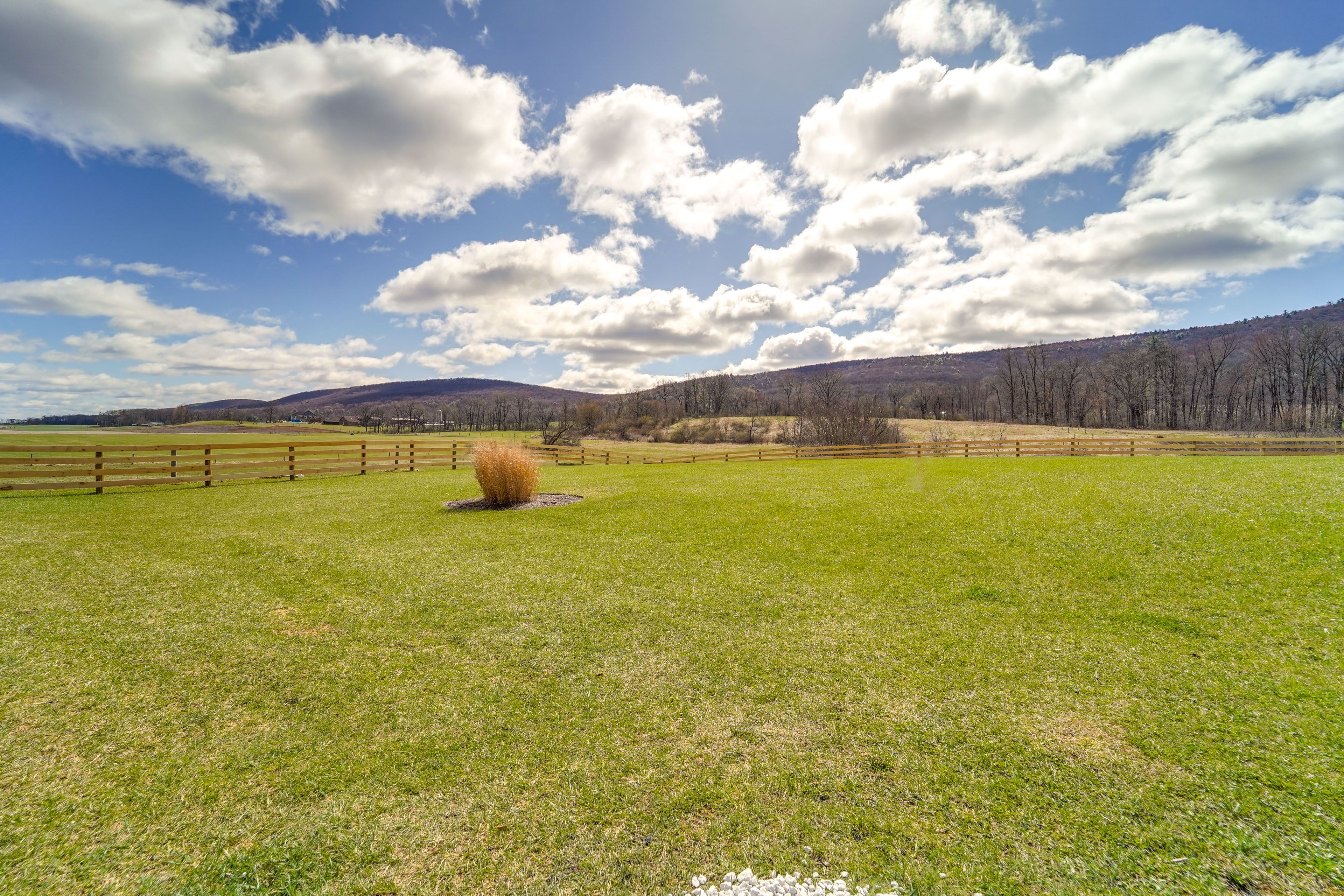 Spring Mills Vacation Rental | Studio | 1BA | Stairs Required | 800 Sq Ft