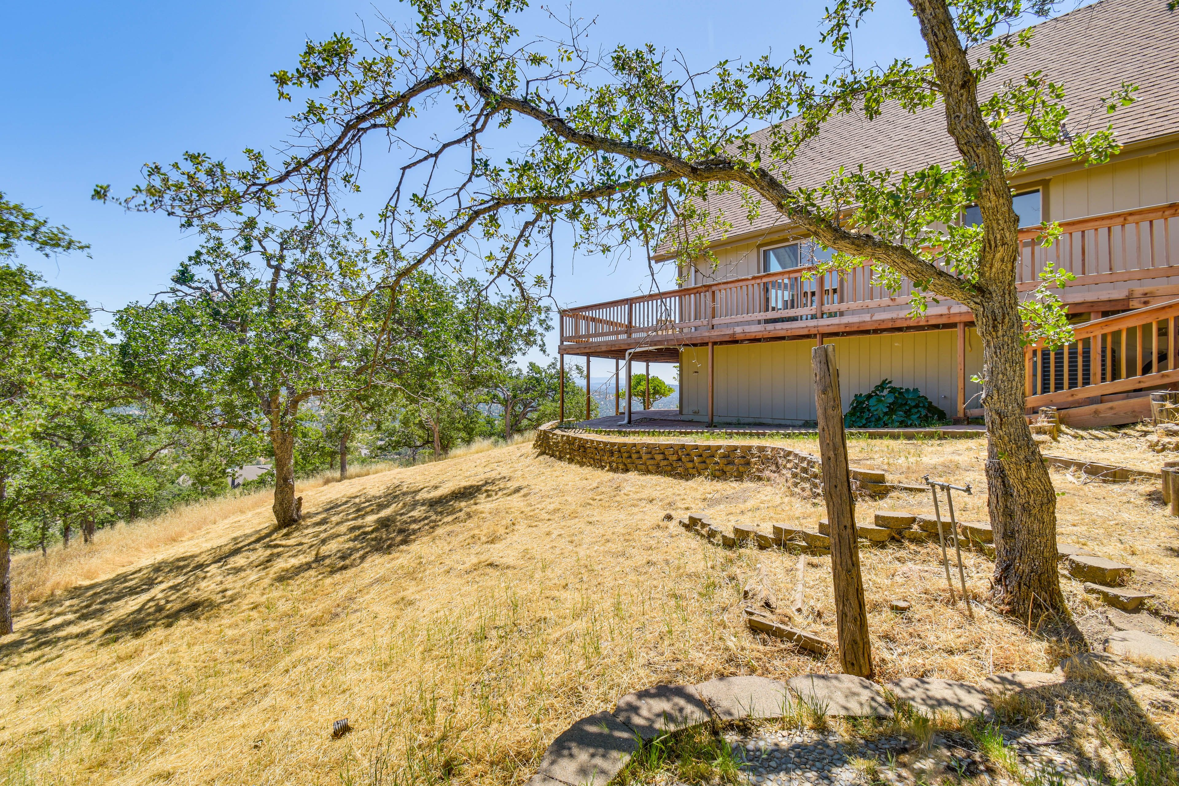 Backyard | Orange & Lemon Trees On-Site