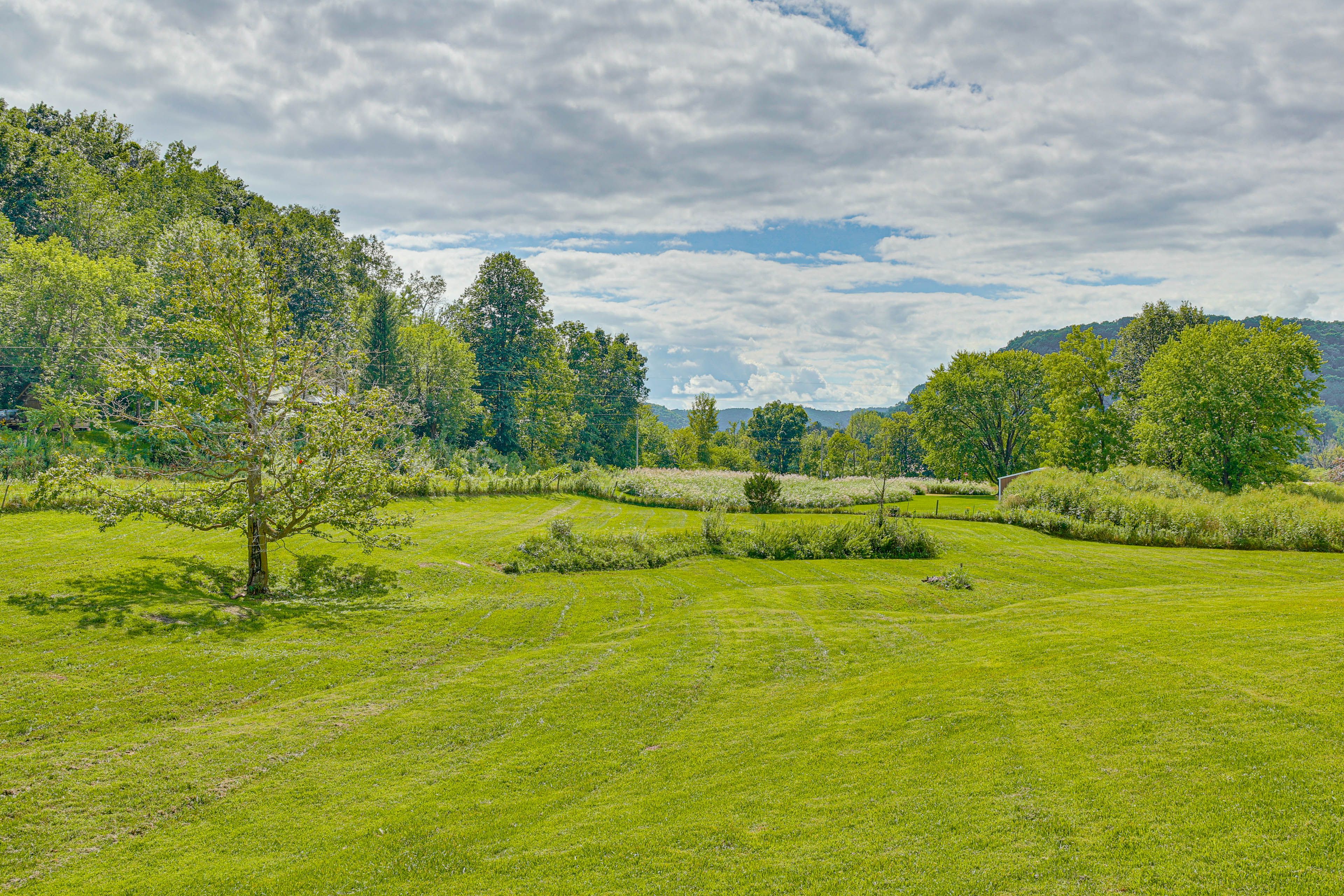 Large Yard | Mountain Views