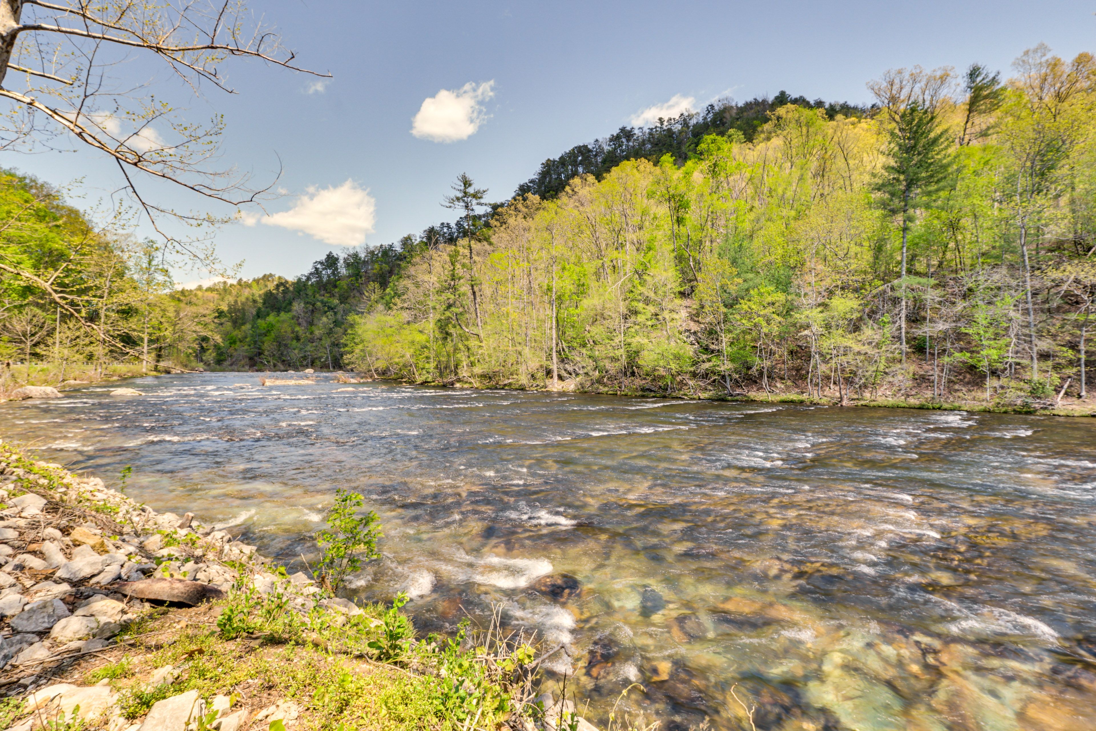 Tellico River Access
