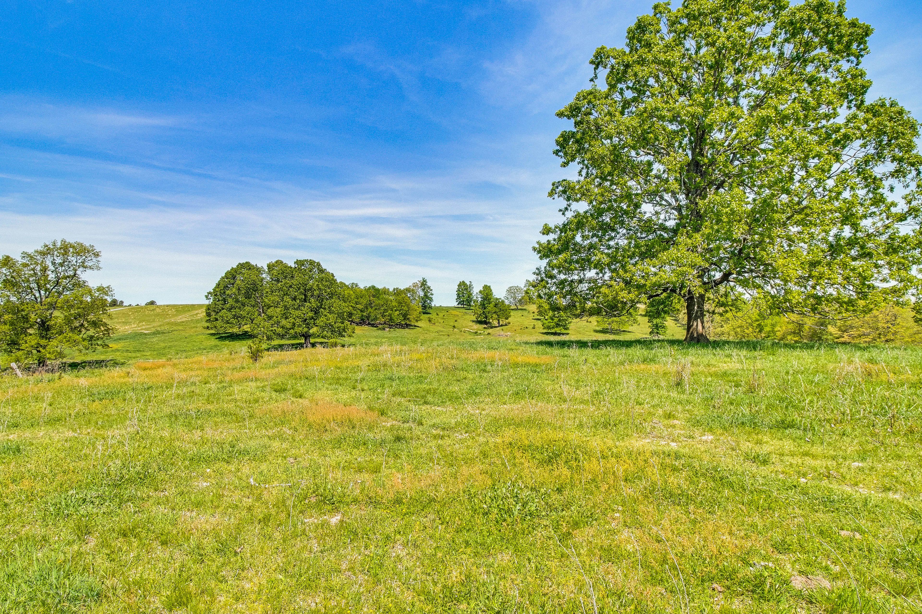 Farmland Views