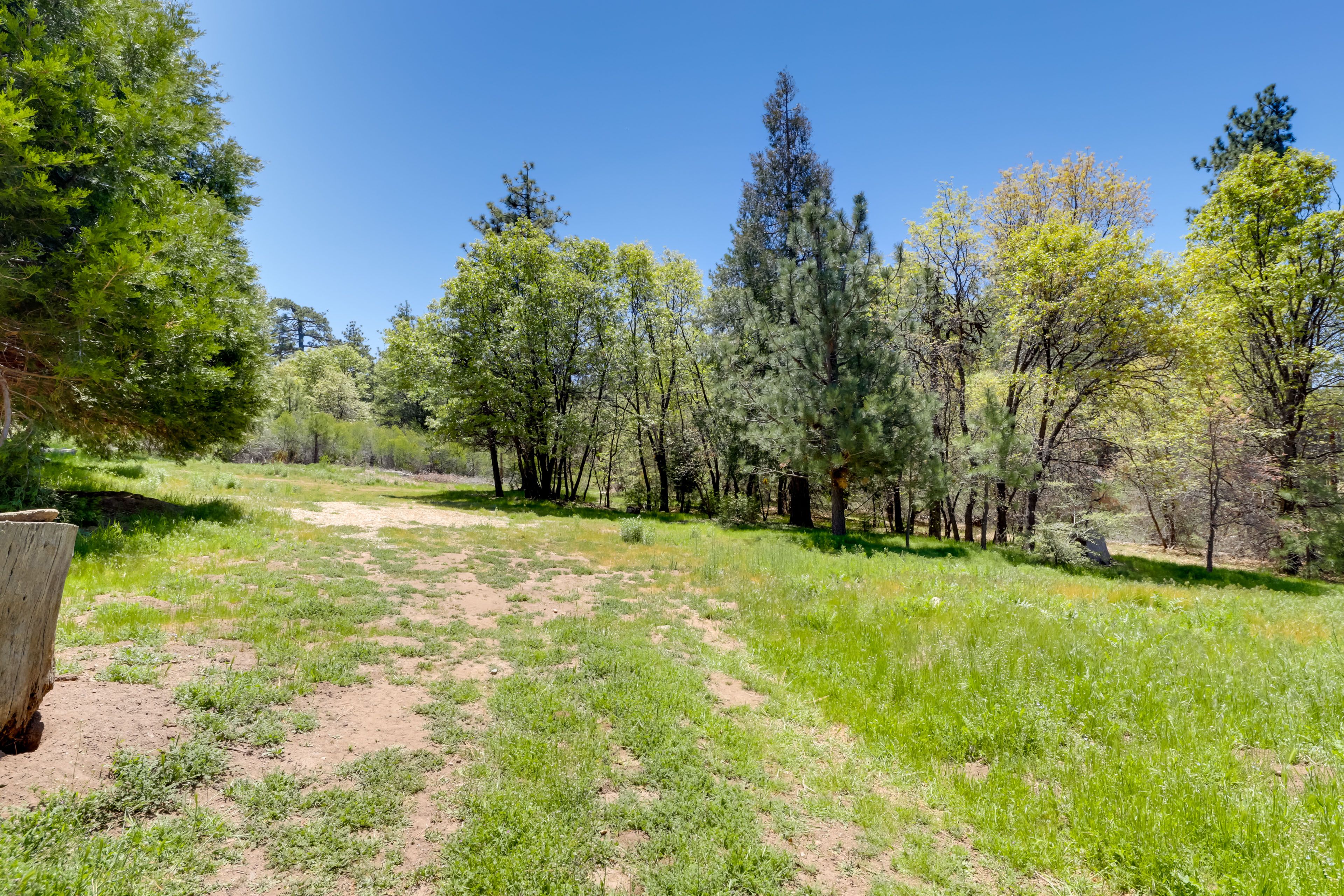 Cabin Exterior | Spacious Yard