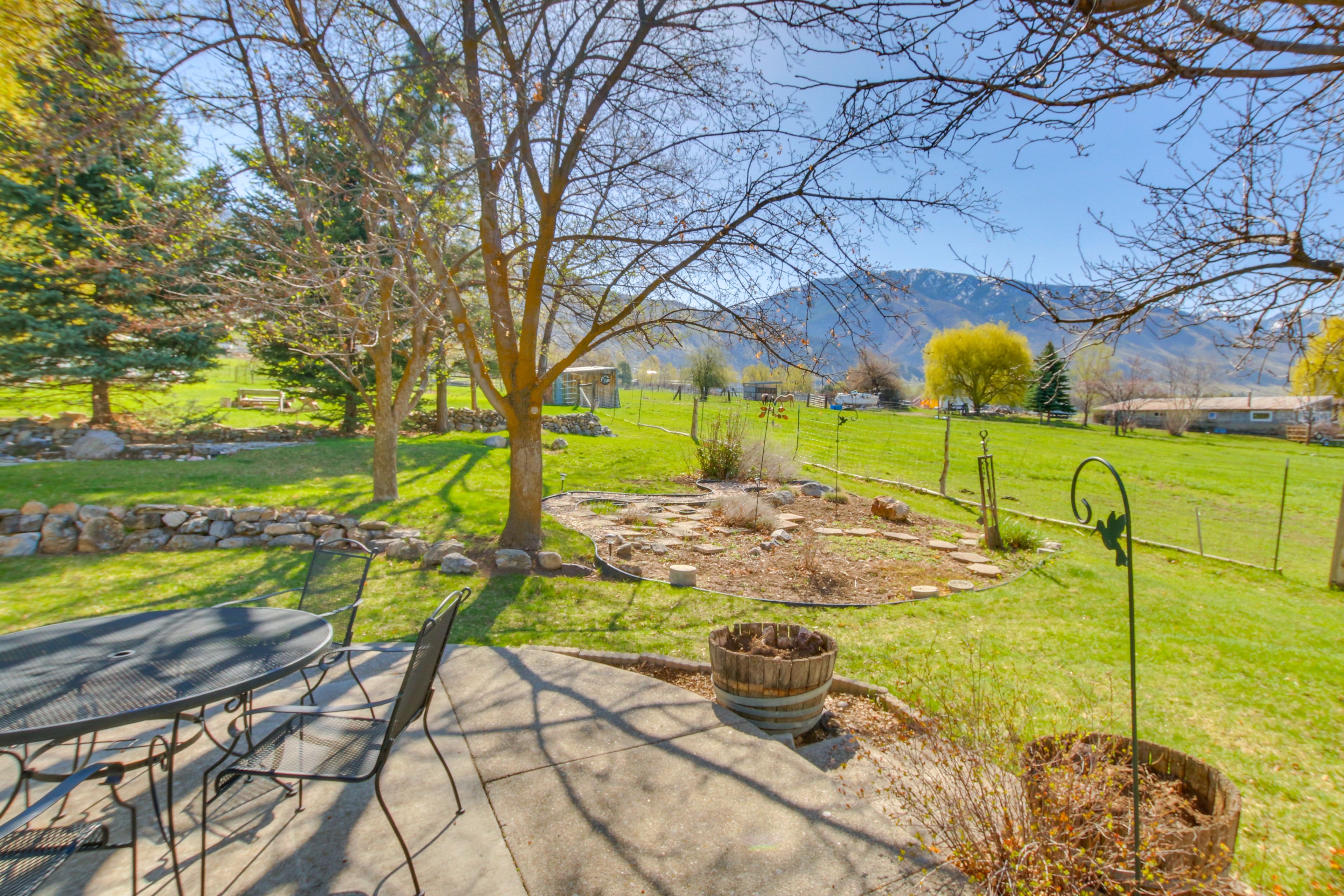 Patio | Outdoor Dining | Gas Grill