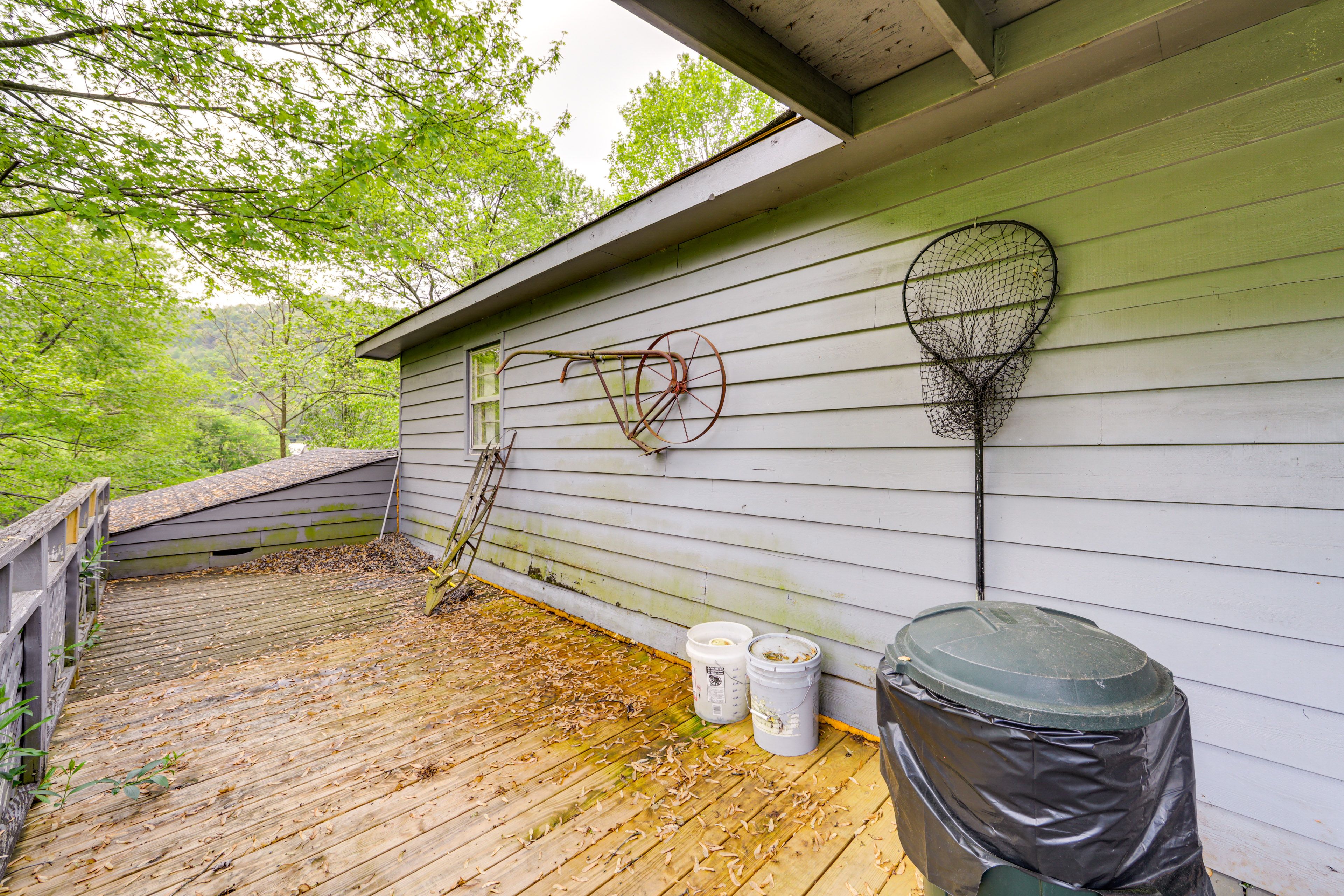 Back Deck