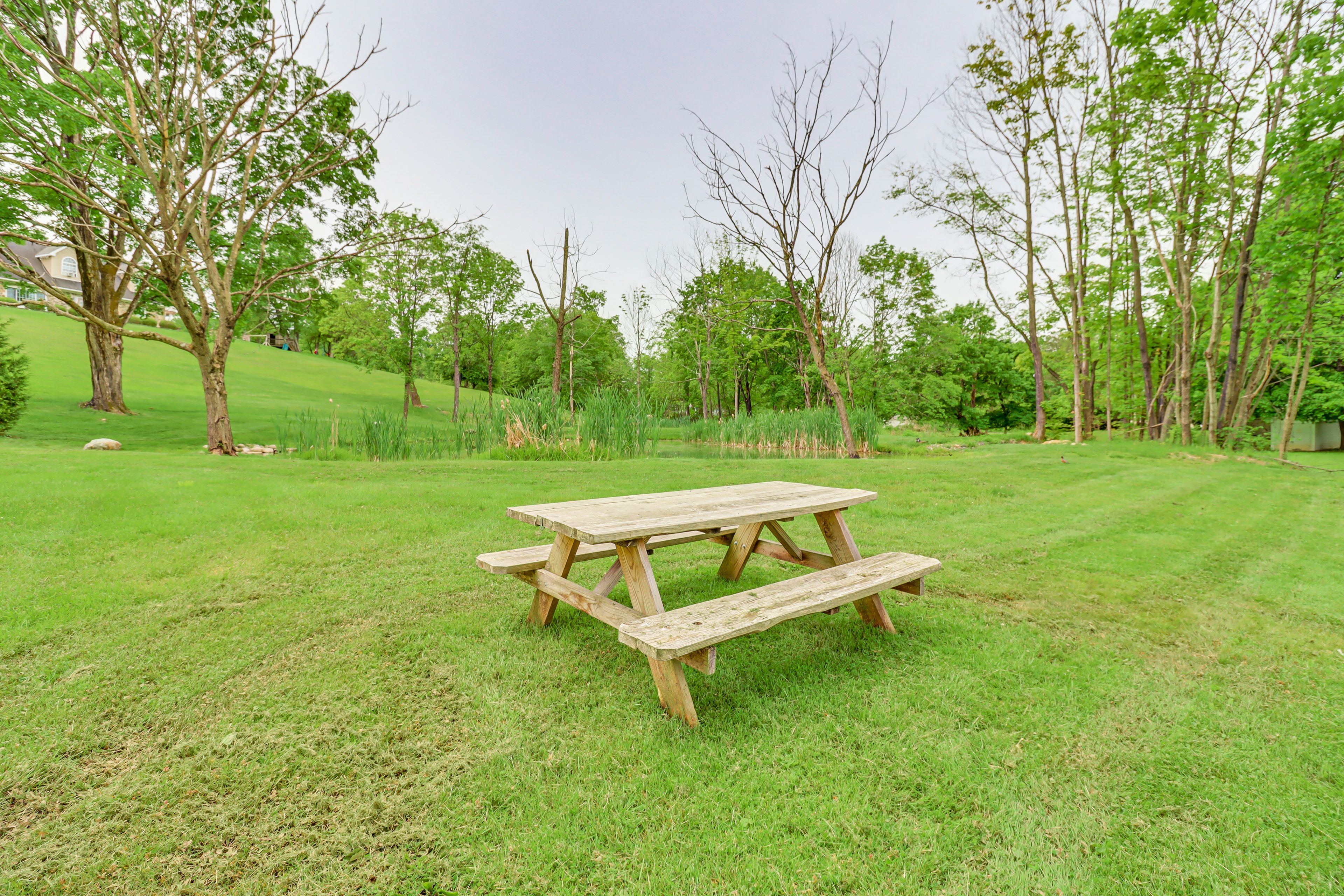 Yard Space (Shared) | Picnic Table | Pond