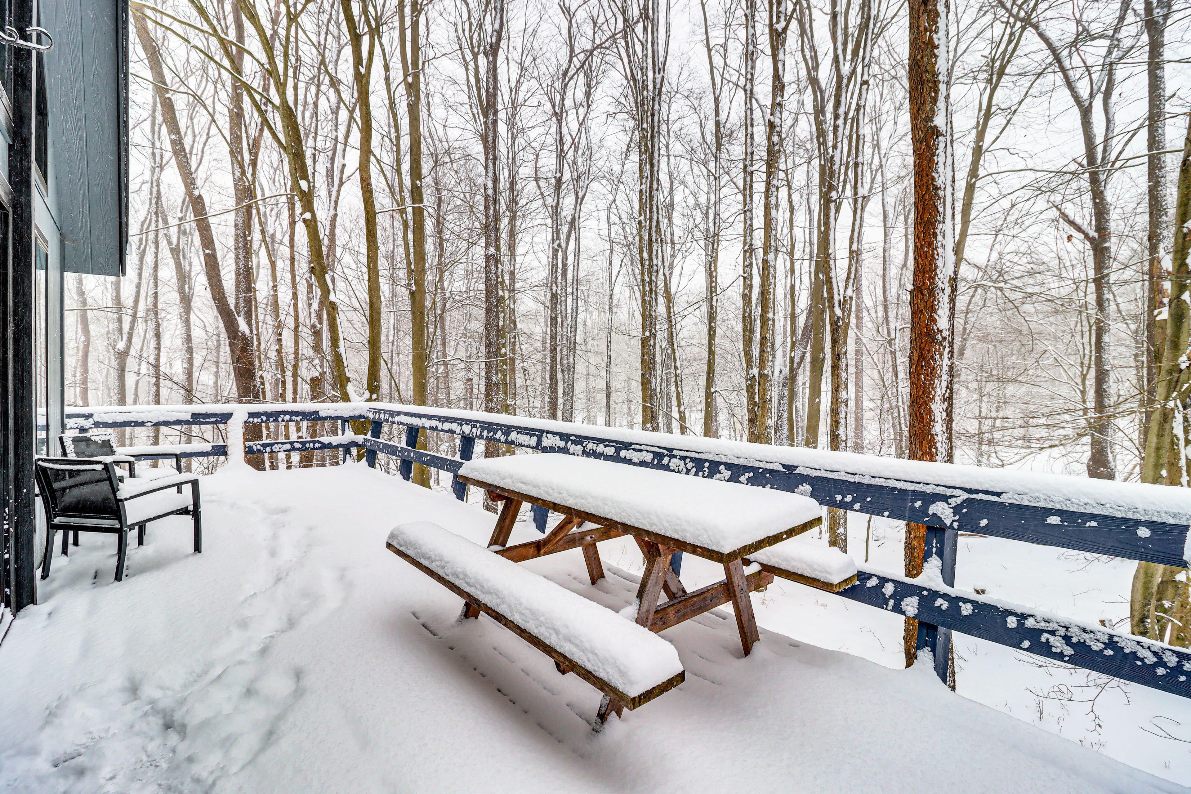 Furnished Deck | Gas Grill