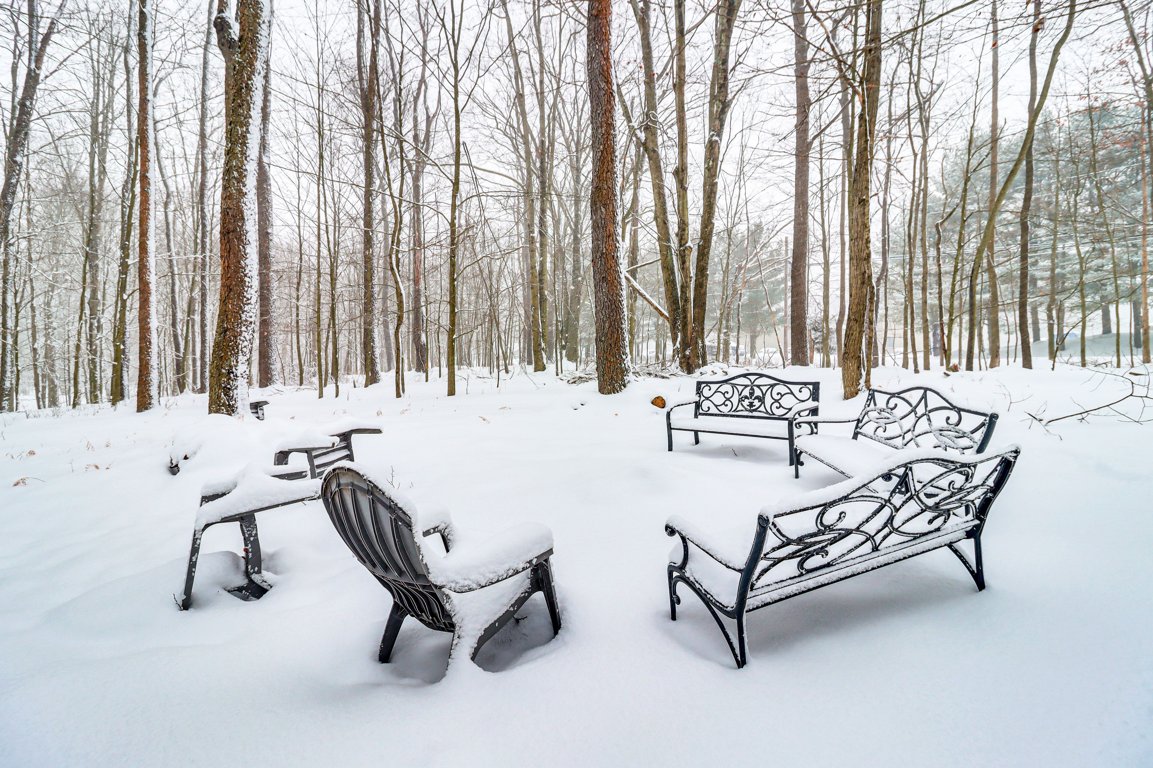 Wood-Burning Fire Pit | Private Yard