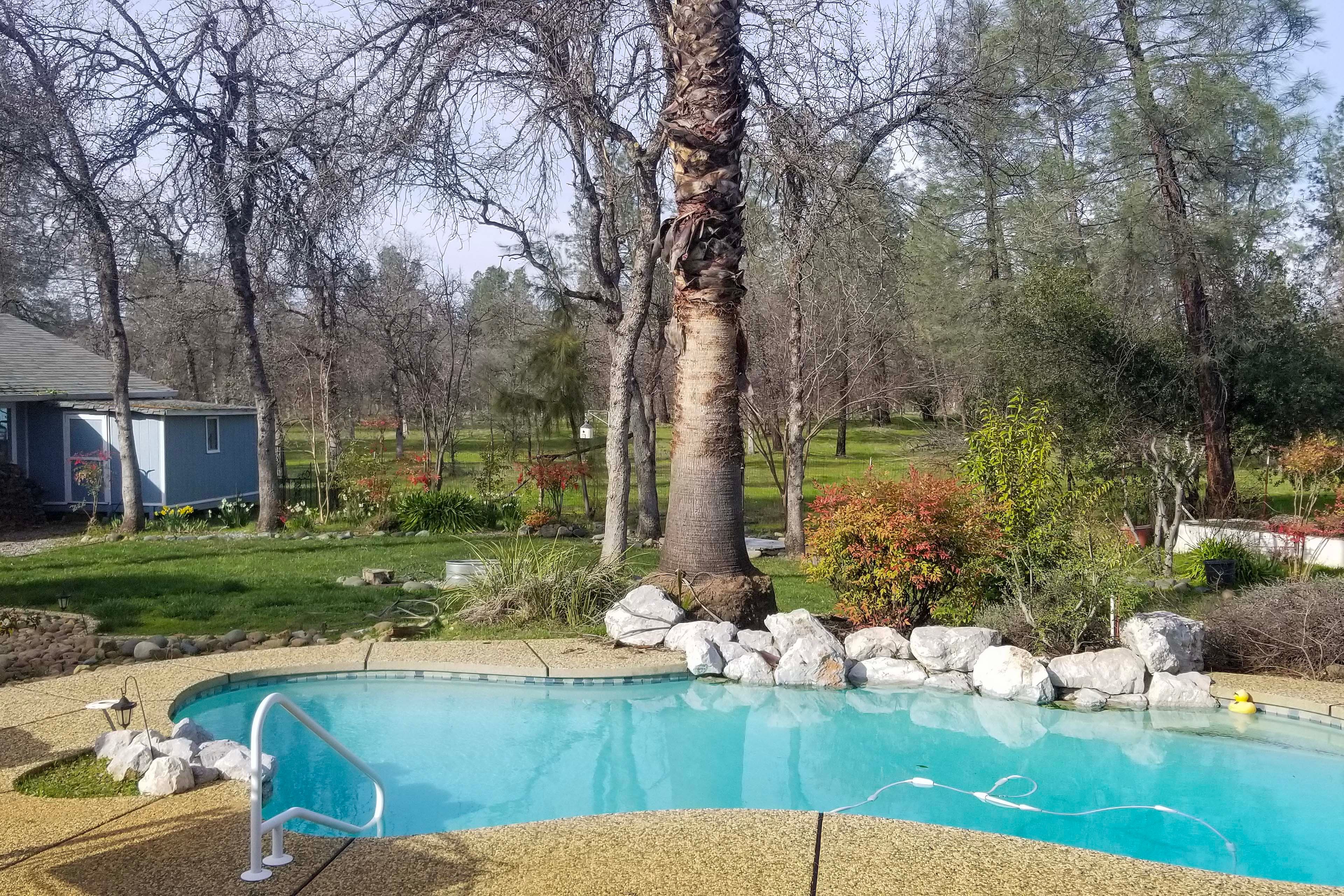 Private Outdoor Pool (Not Heated, Depth 3'-6')