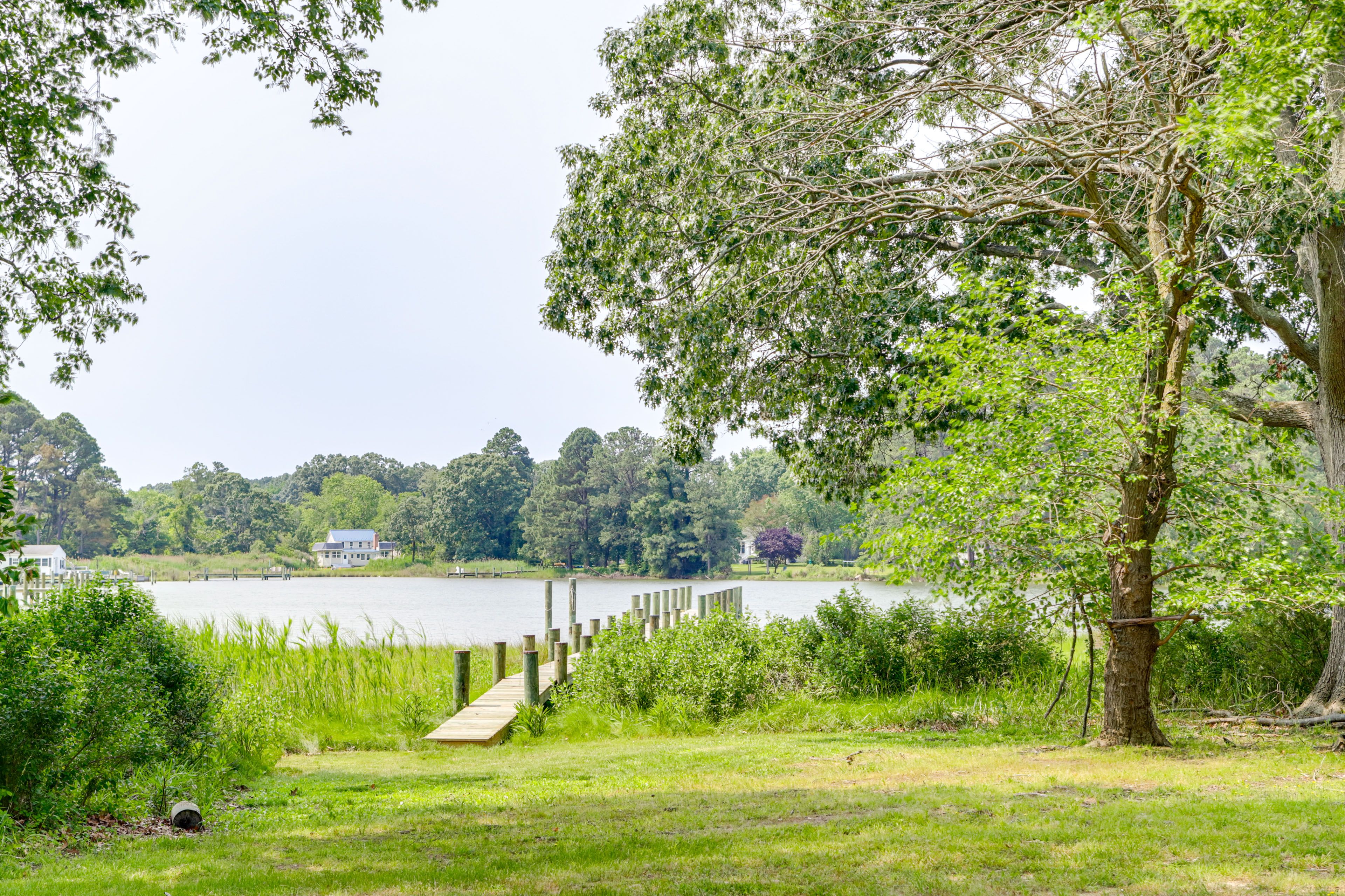 Private Backyard (Unfenced) | Harris Creek On-Site