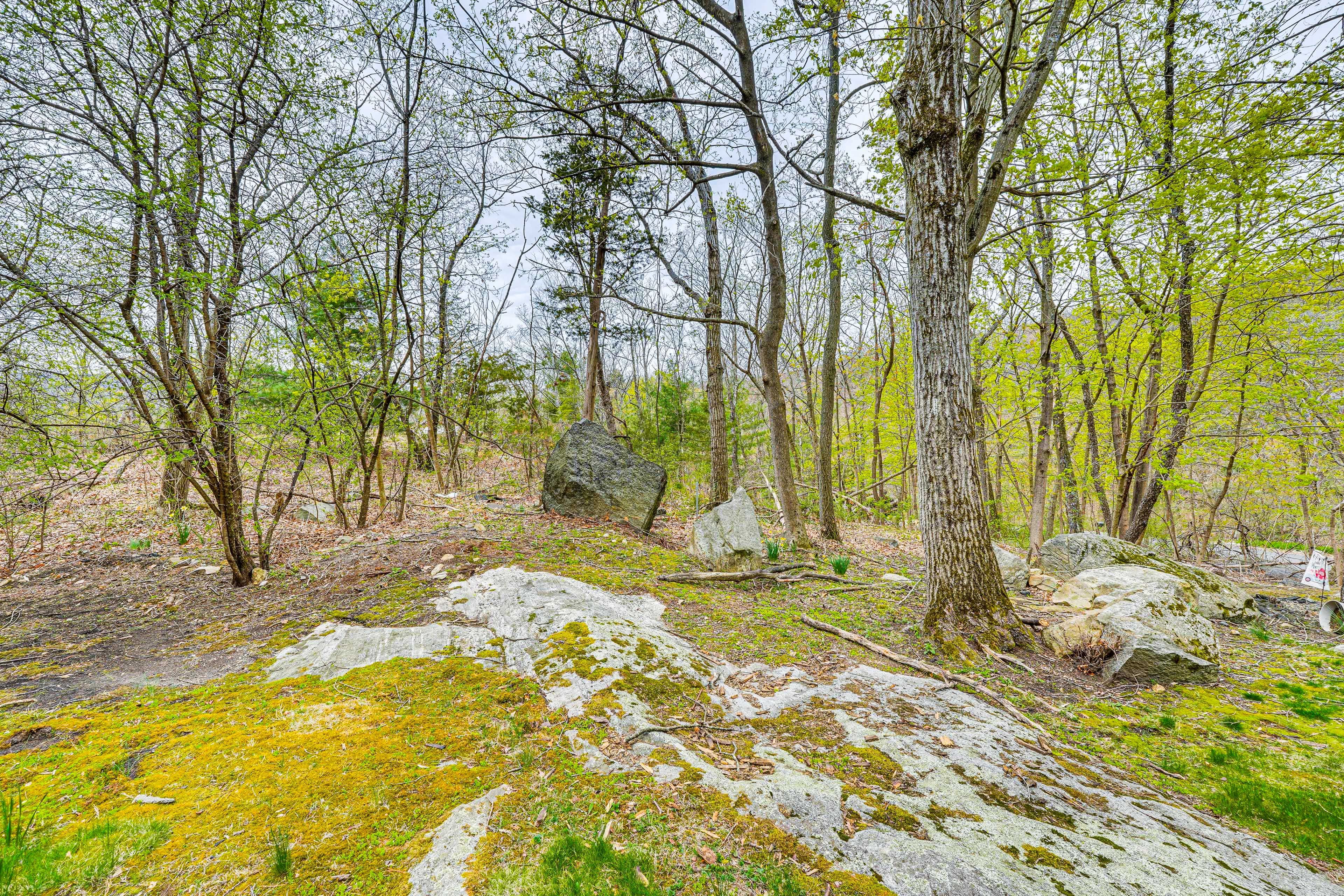 Image 30
