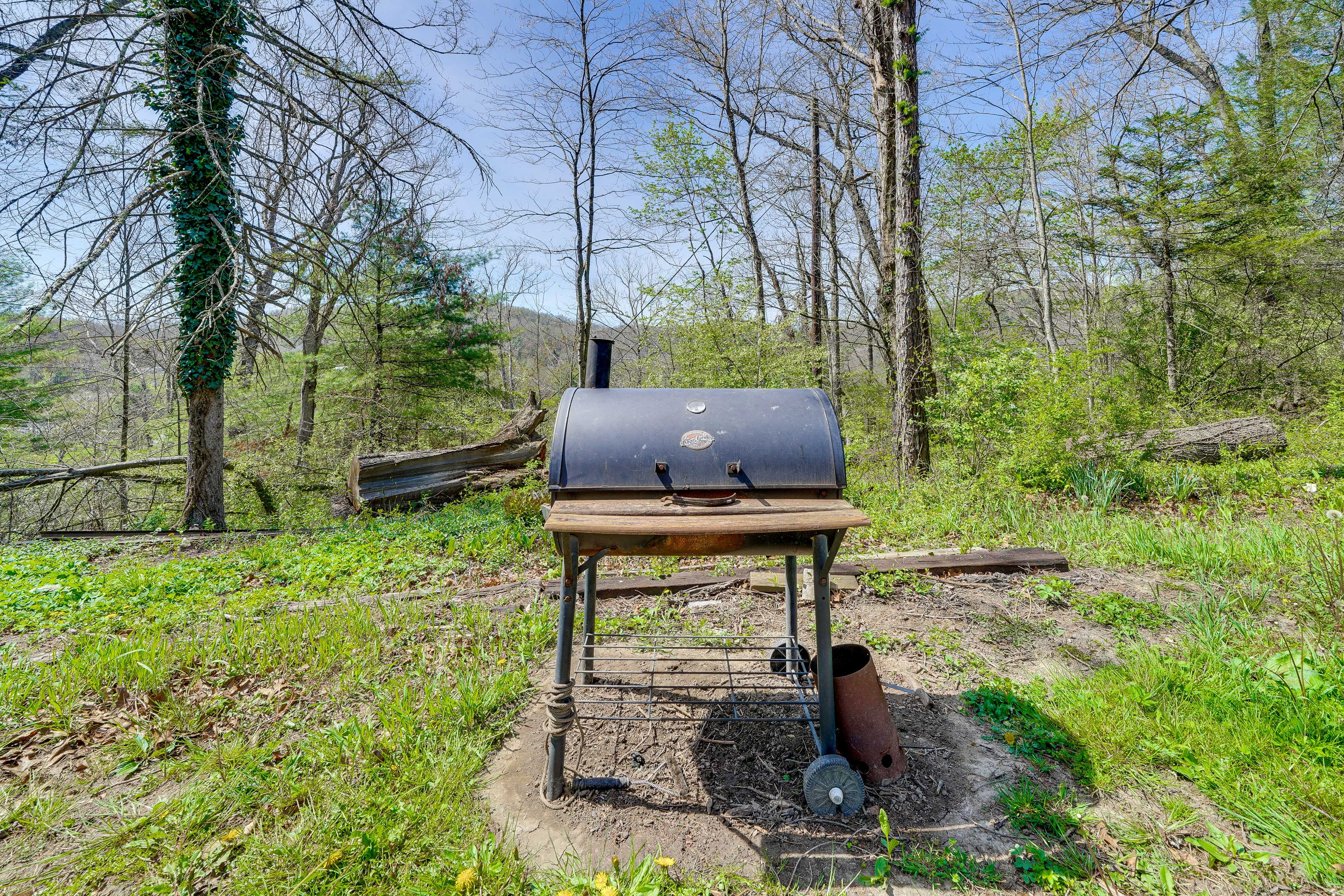 Gas Grill