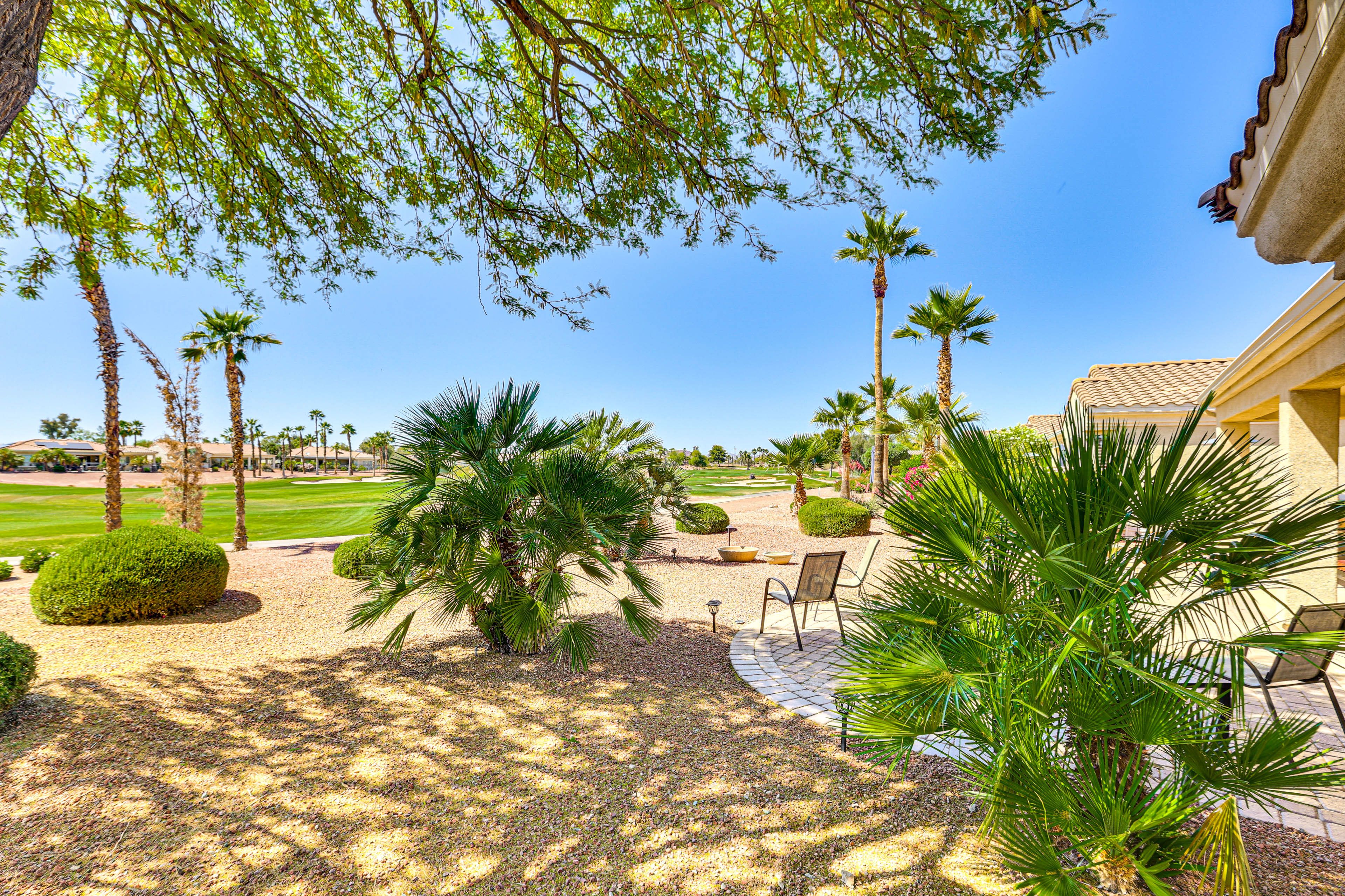 Backyard