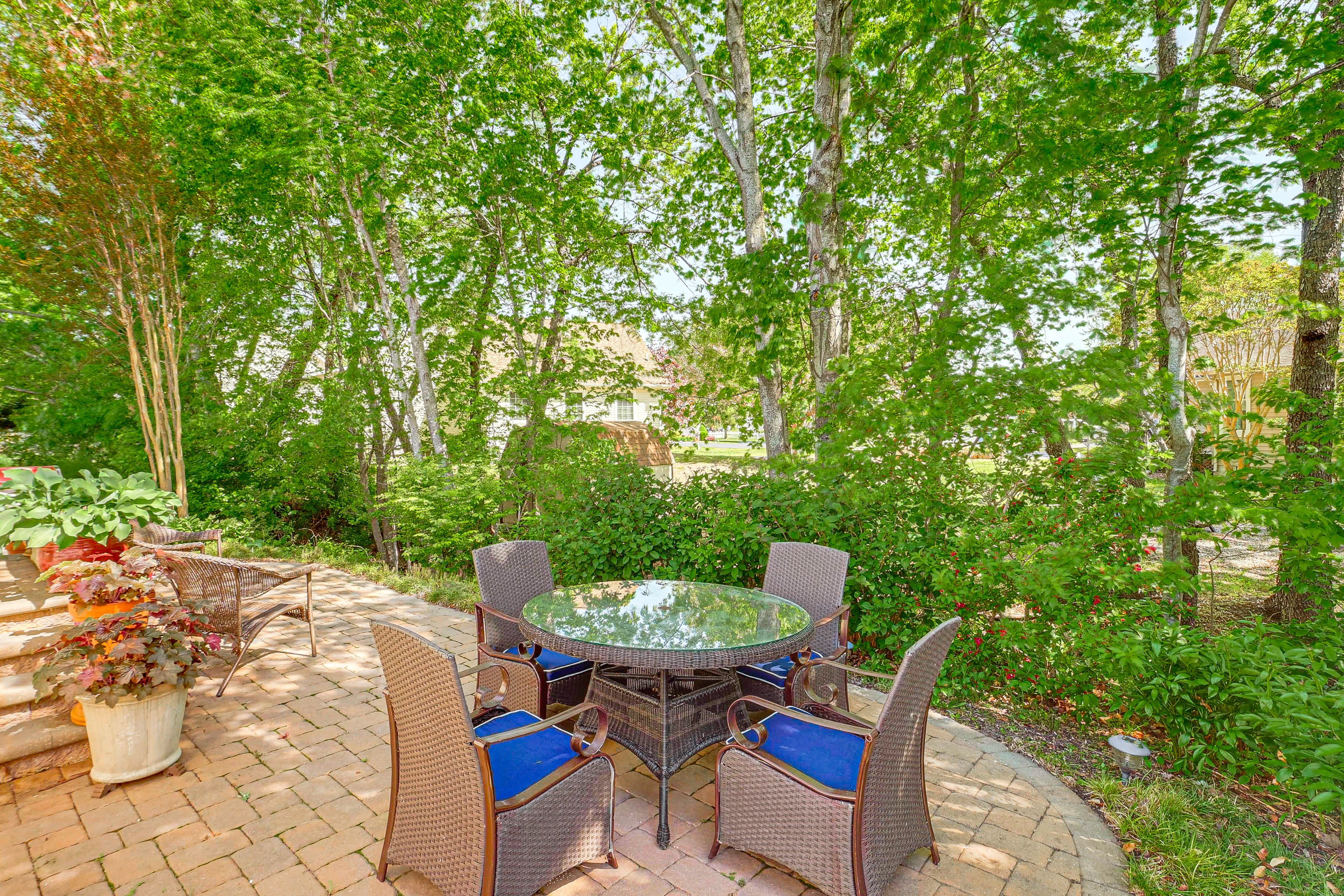 Back Patio