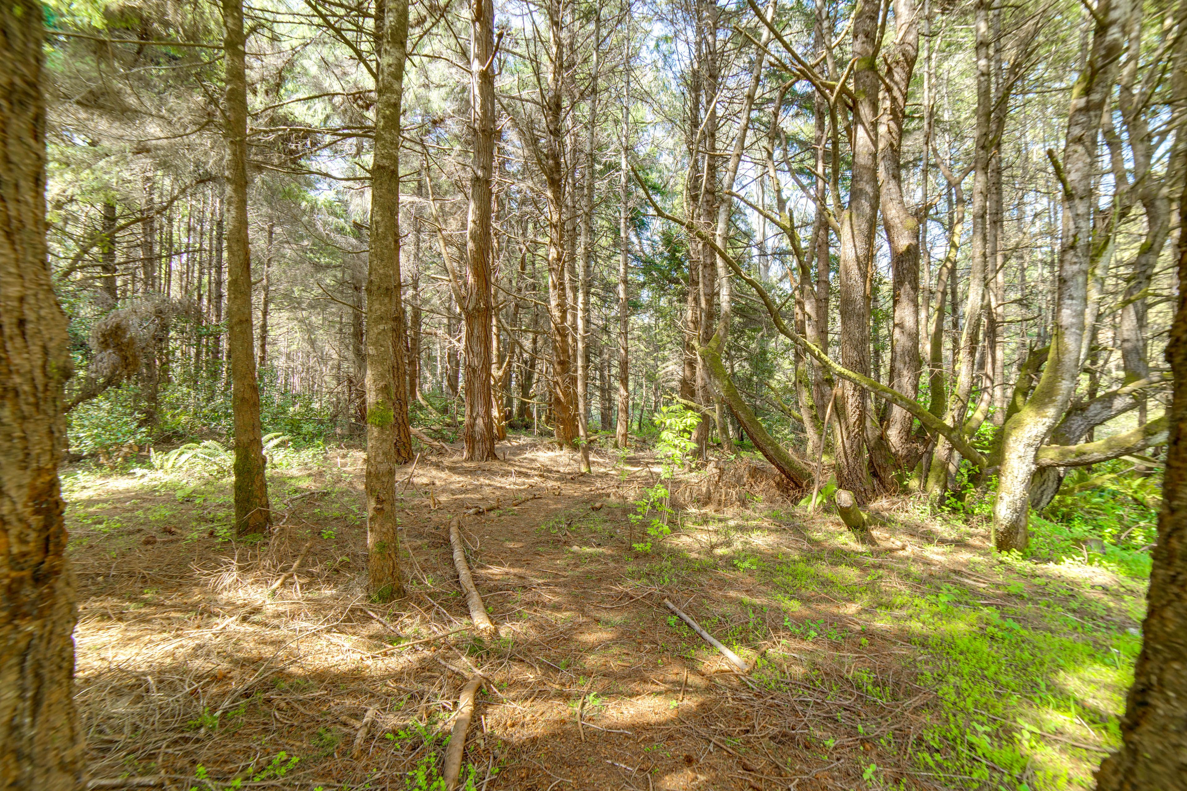 Cabin Exterior | Walking Trail & Meadow Access